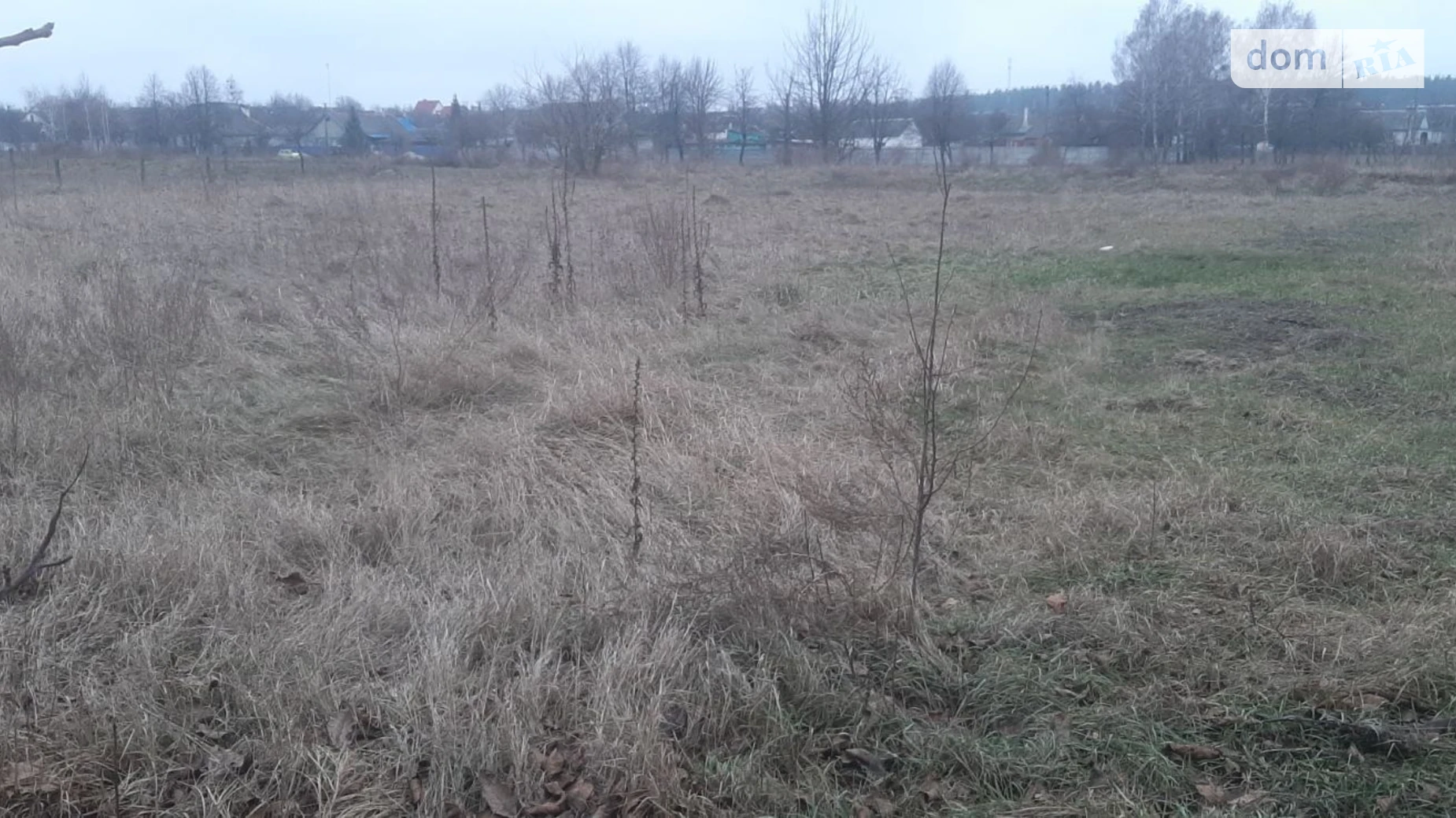 Продается земельный участок 14.95 соток в Житомирской области, цена: 6500 $ - фото 4