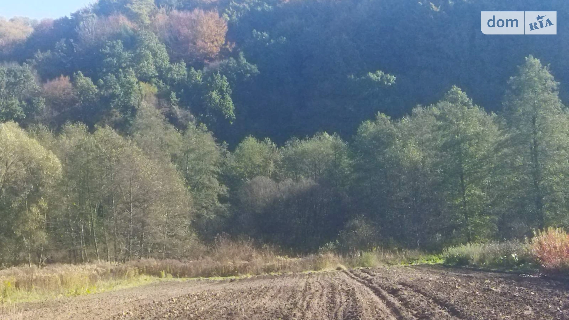 Продается земельный участок 20.82 соток в Львовской области, цена: 50000 $ - фото 5