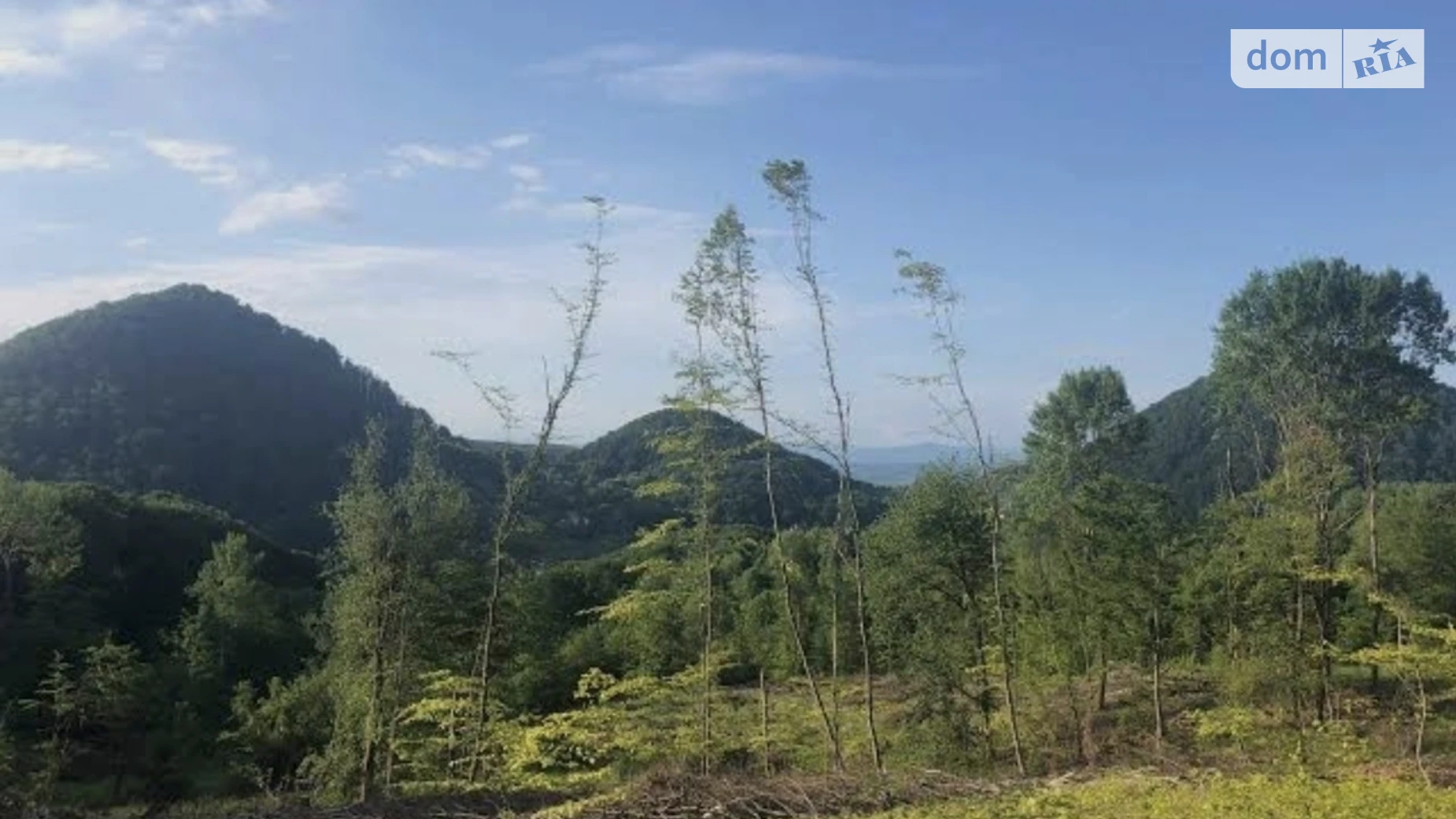 Продается земельный участок 1 соток в Закарпатской области, цена: 365000 $ - фото 3