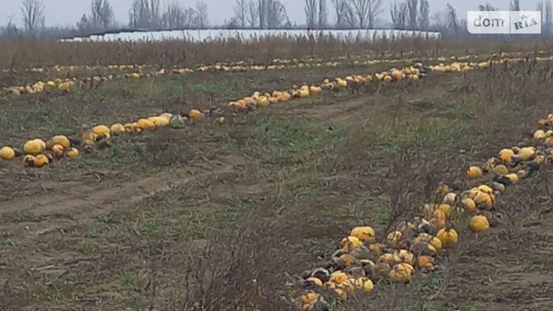 Продается земельный участок 2.05 соток в Киевской области, цена: 1408700 грн - фото 5