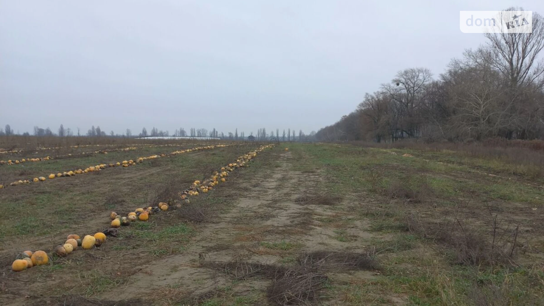 Продается земельный участок 8.1 соток в Киевской области, цена: 5510300 грн - фото 4