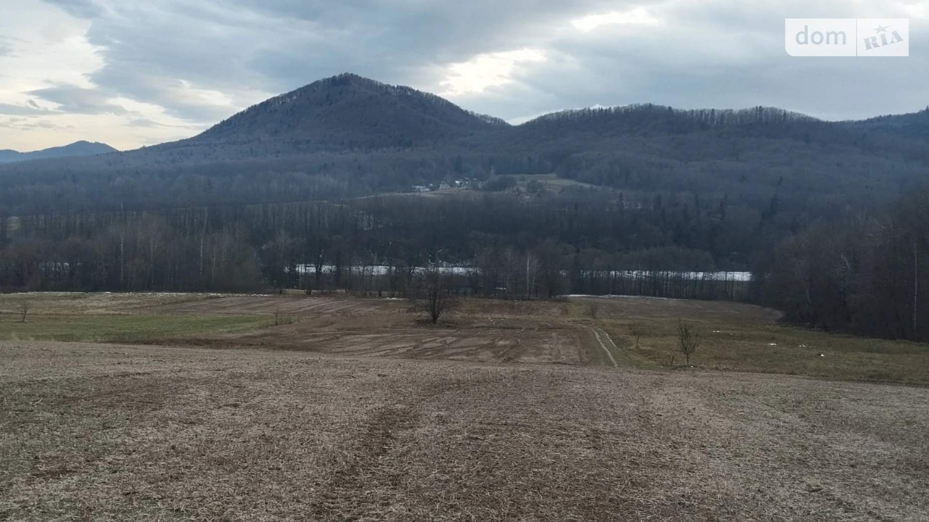 Продается земельный участок 35 соток в Черновицкой области, цена: 27000 $ - фото 2