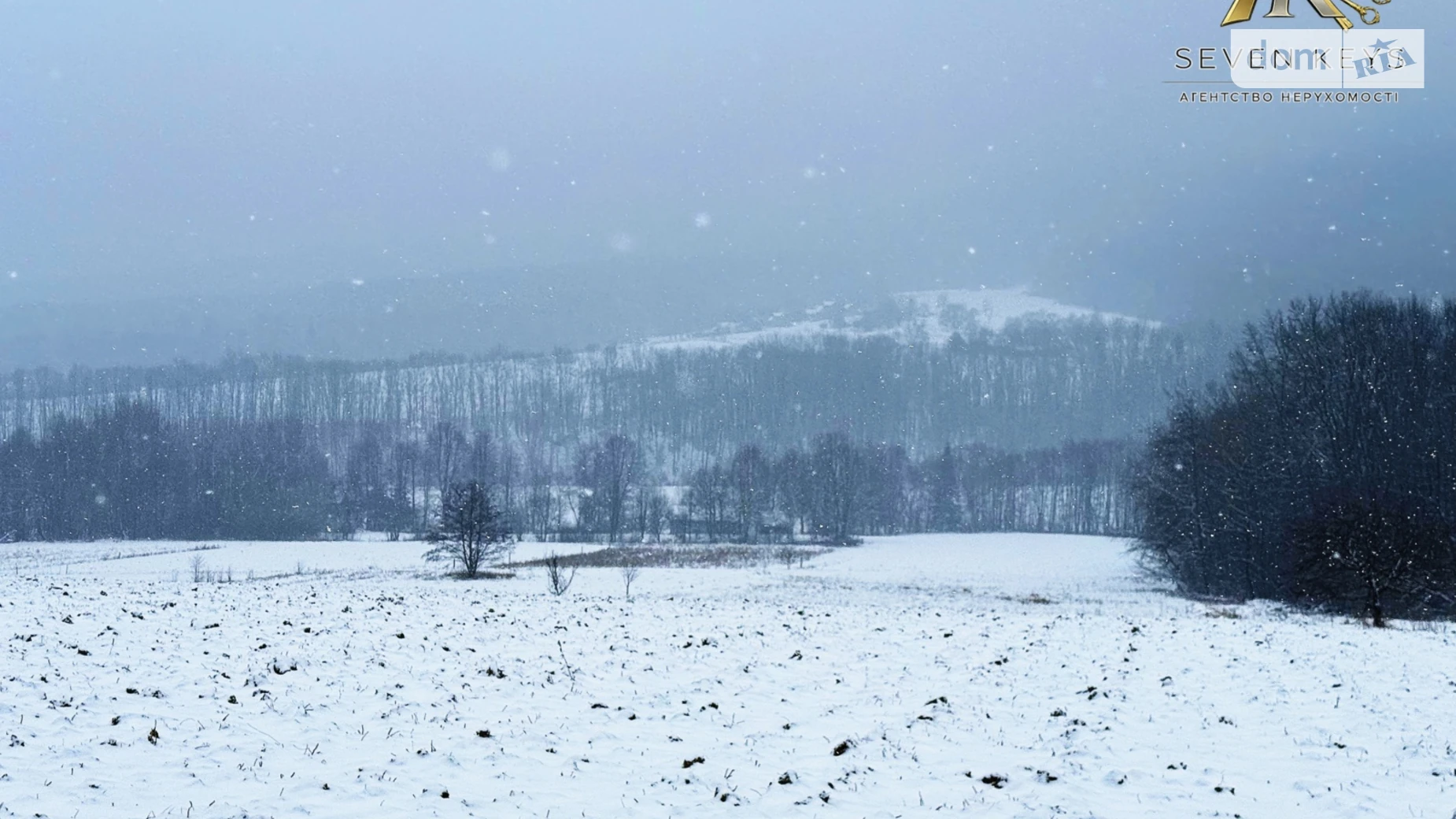 Продается земельный участок 35 соток в Черновицкой области, цена: 27000 $ - фото 4