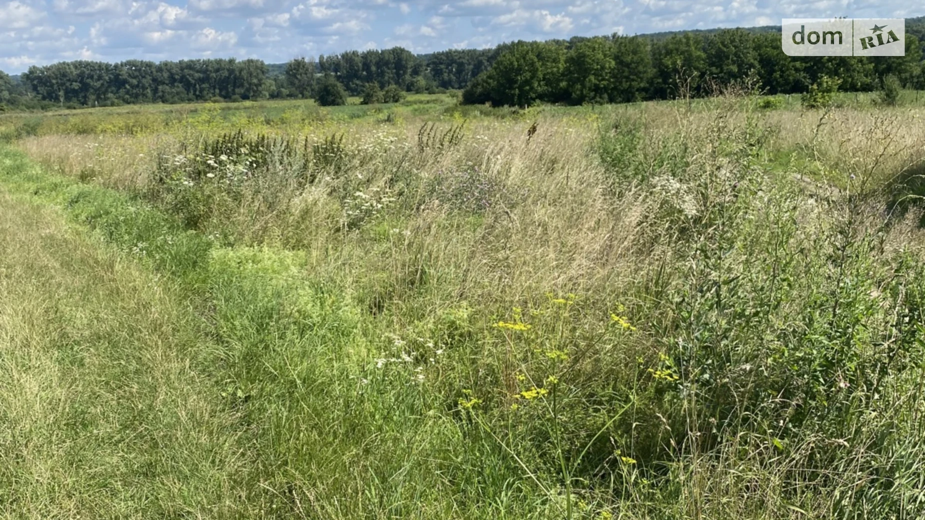 Продается земельный участок 700 соток в Хмельницкой области, цена: 120000 $ - фото 4