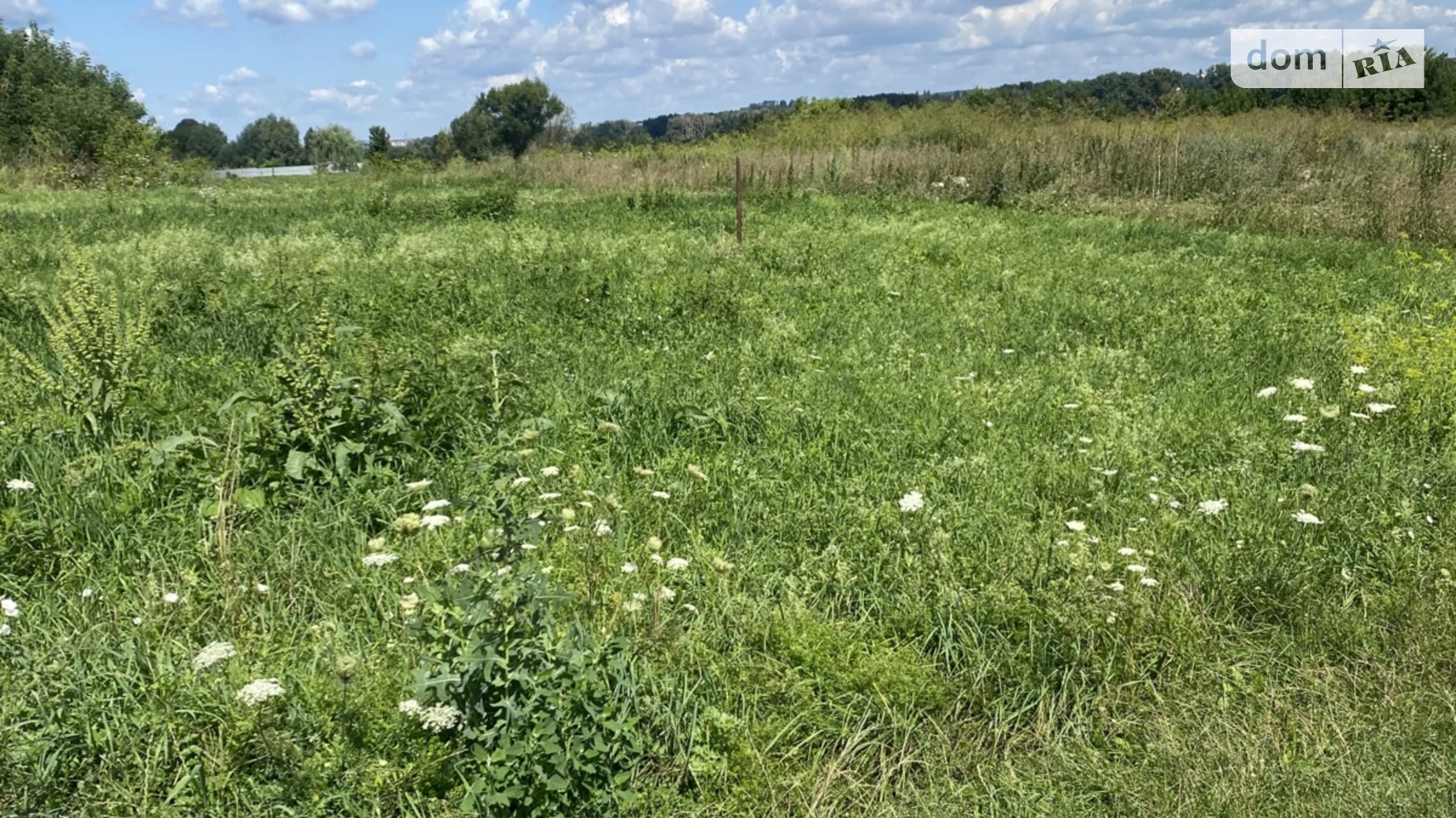 Продается земельный участок 700 соток в Хмельницкой области, цена: 120000 $ - фото 5