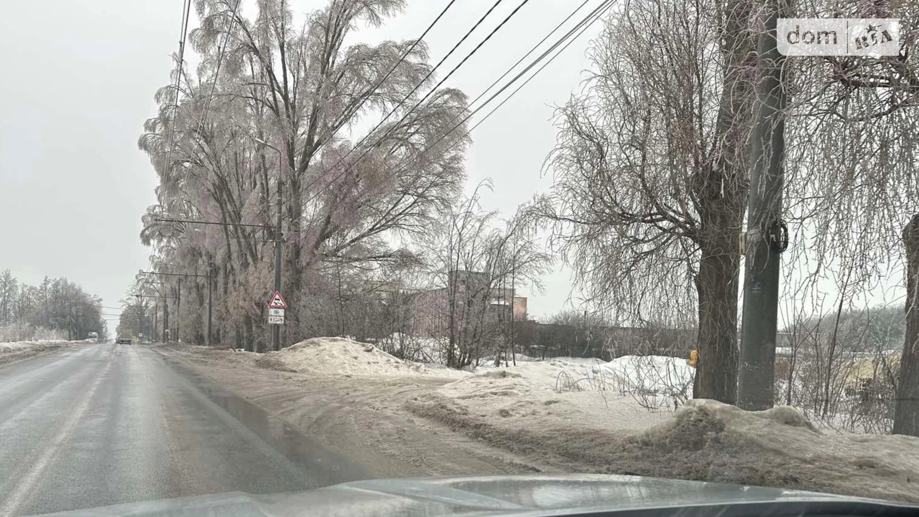 Сдается в аренду земельный участок 50 соток в Тернопольской области, цена: 20000 грн - фото 5