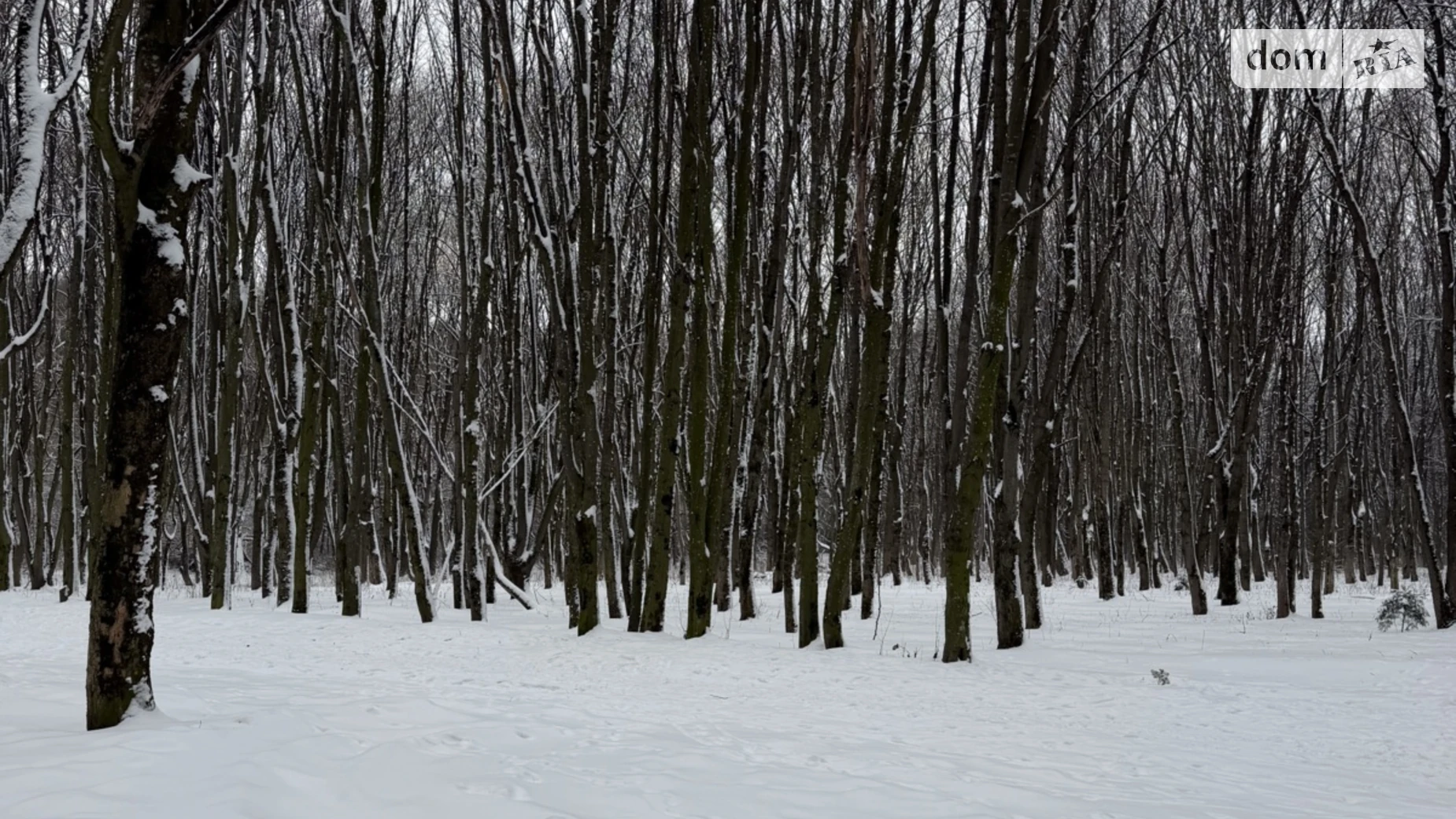 Продається земельна ділянка 20 соток у Хмельницькій області, цена: 230000 $ - фото 2