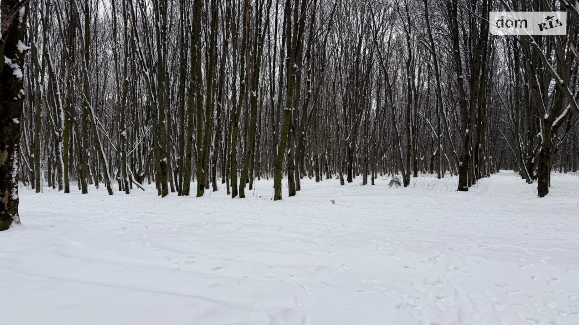 Продається земельна ділянка 20 соток у Хмельницькій області, цена: 230000 $ - фото 3