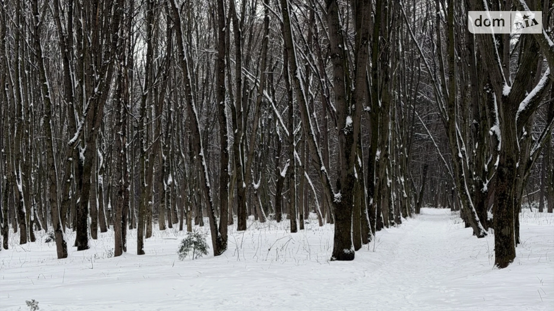 Продається земельна ділянка 20 соток у Хмельницькій області, цена: 230000 $ - фото 4