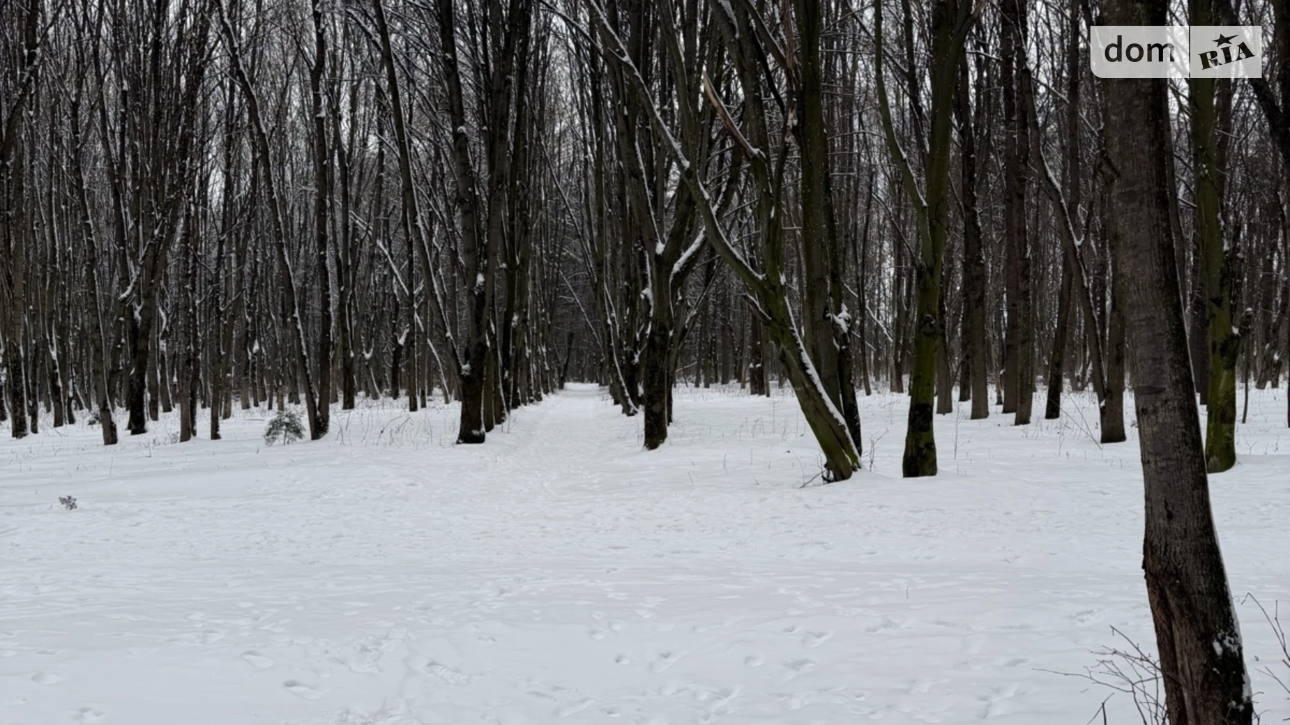 Продається земельна ділянка 20 соток у Хмельницькій області, цена: 230000 $ - фото 5