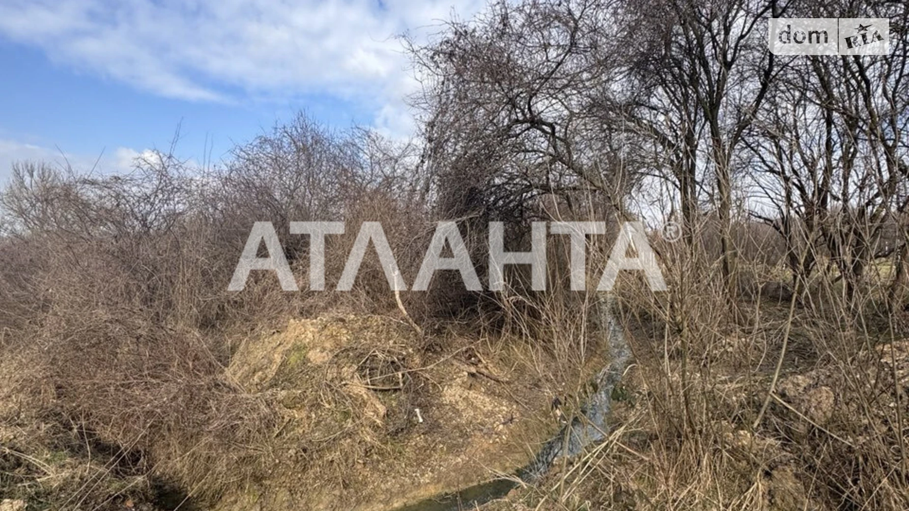 Продается земельный участок 50 соток в Закарпатской области, цена: 80000 $ - фото 2