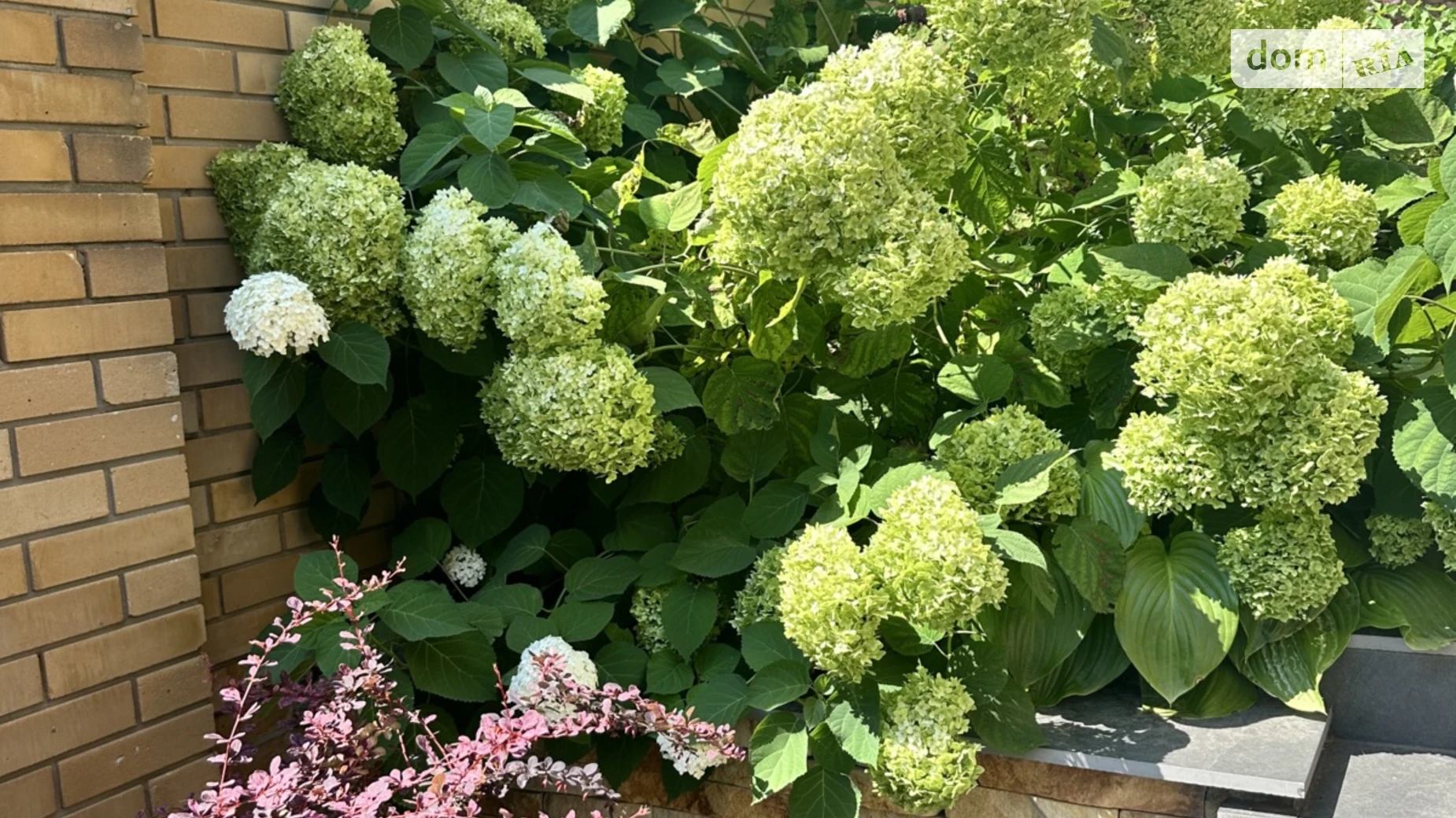 Продается дом на 3 этажа 265.2 кв. м с участком, цена: 280000 $ - фото 5