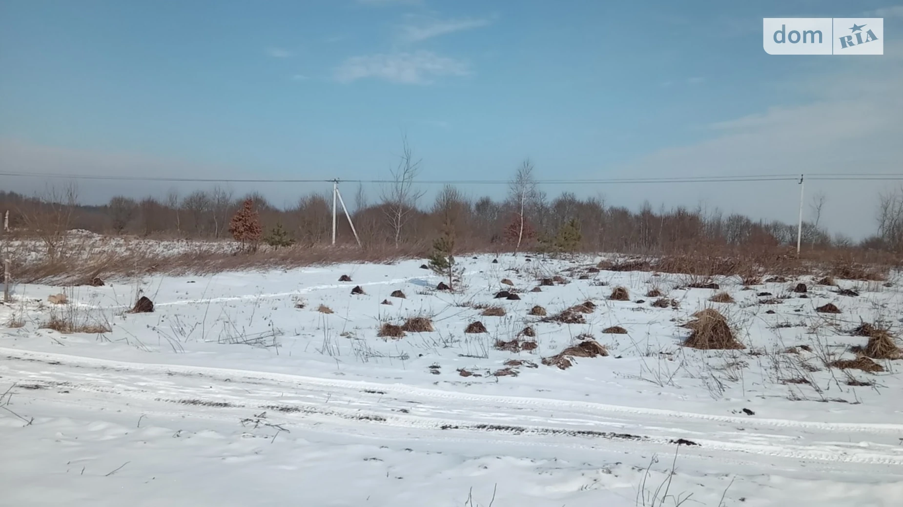 Відродження Давыдов, цена: 29000 $ - фото 4