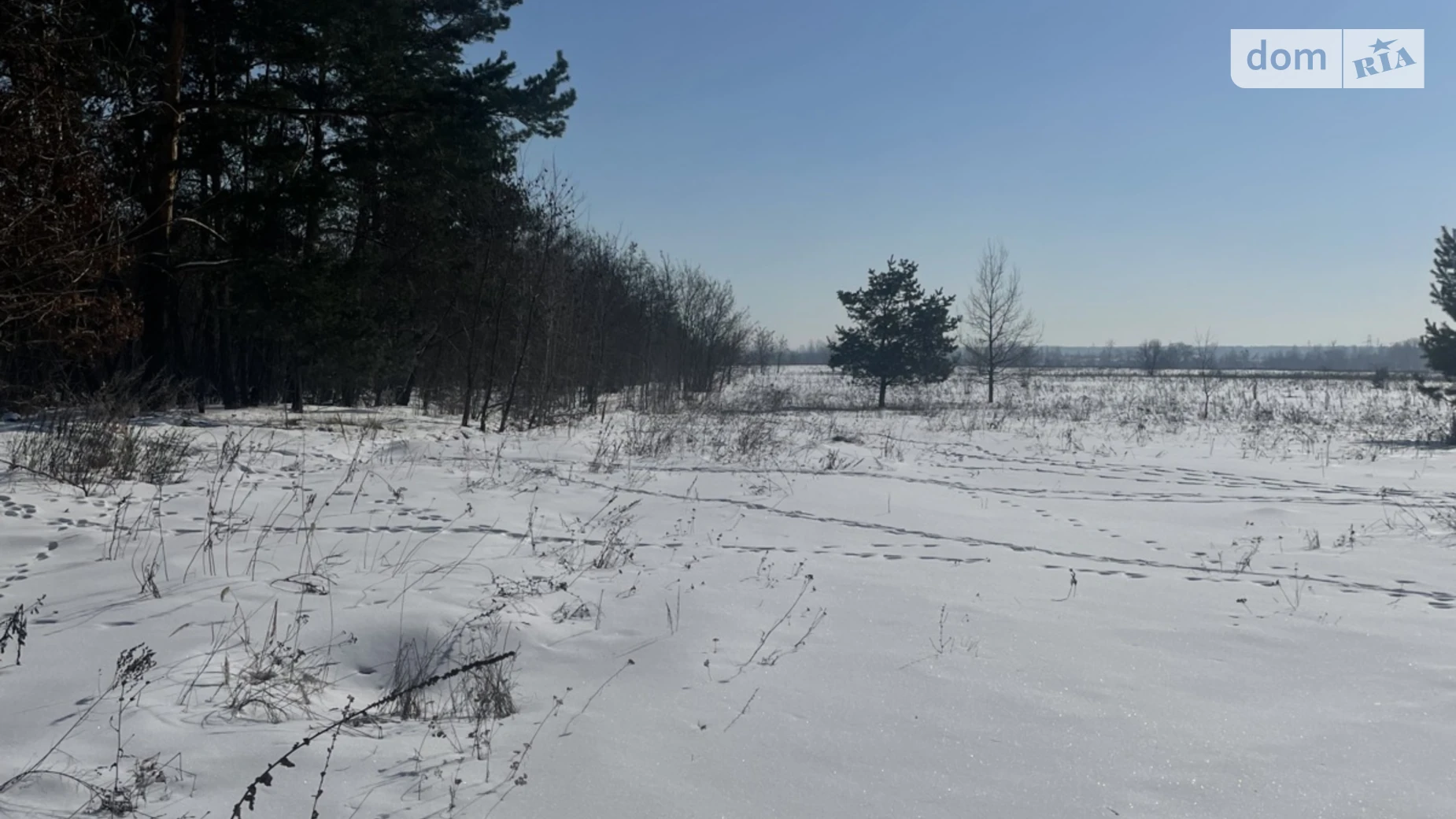 Продается земельный участок 16.5 соток в Киевской области, цена: 12500 $ - фото 2