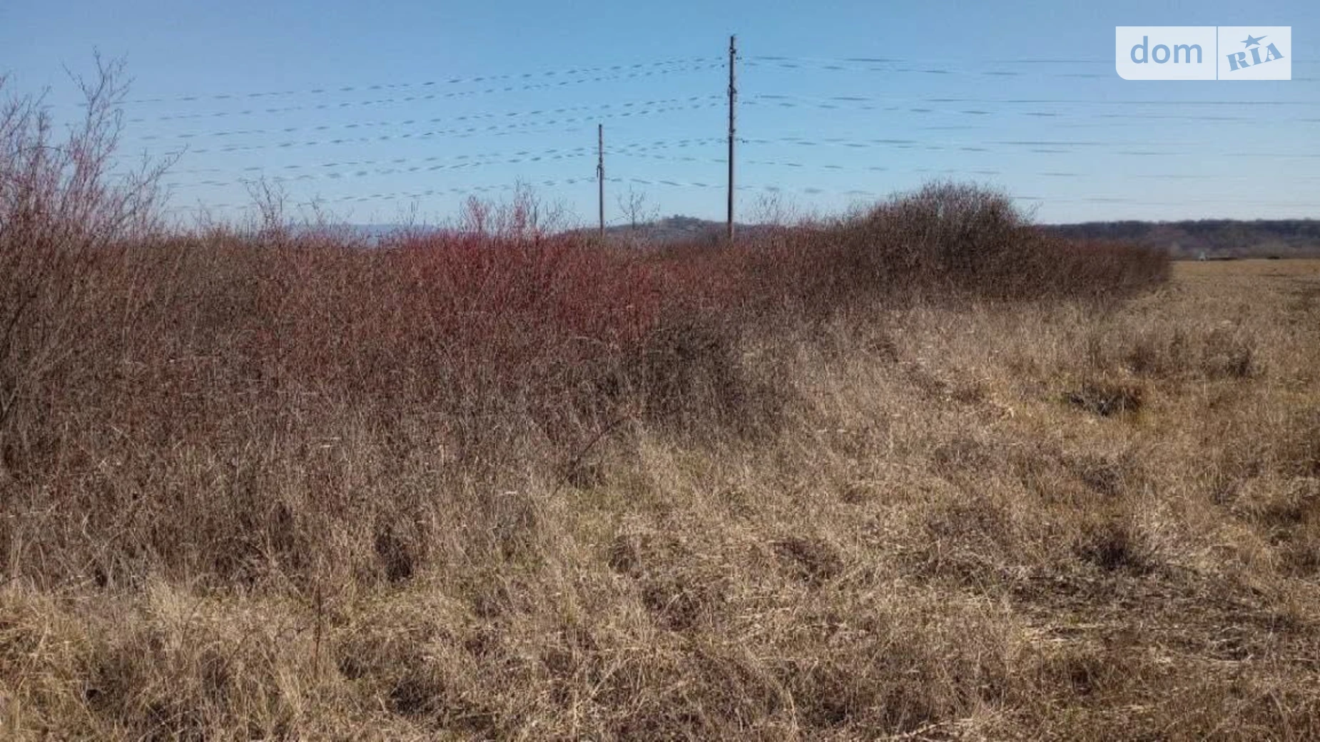 Продается земельный участок 184.36 соток в Закарпатской области, цена: 110000 $ - фото 2