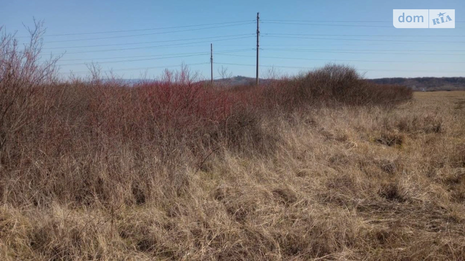 Продается земельный участок 184.36 соток в Закарпатской области, цена: 110000 $ - фото 3