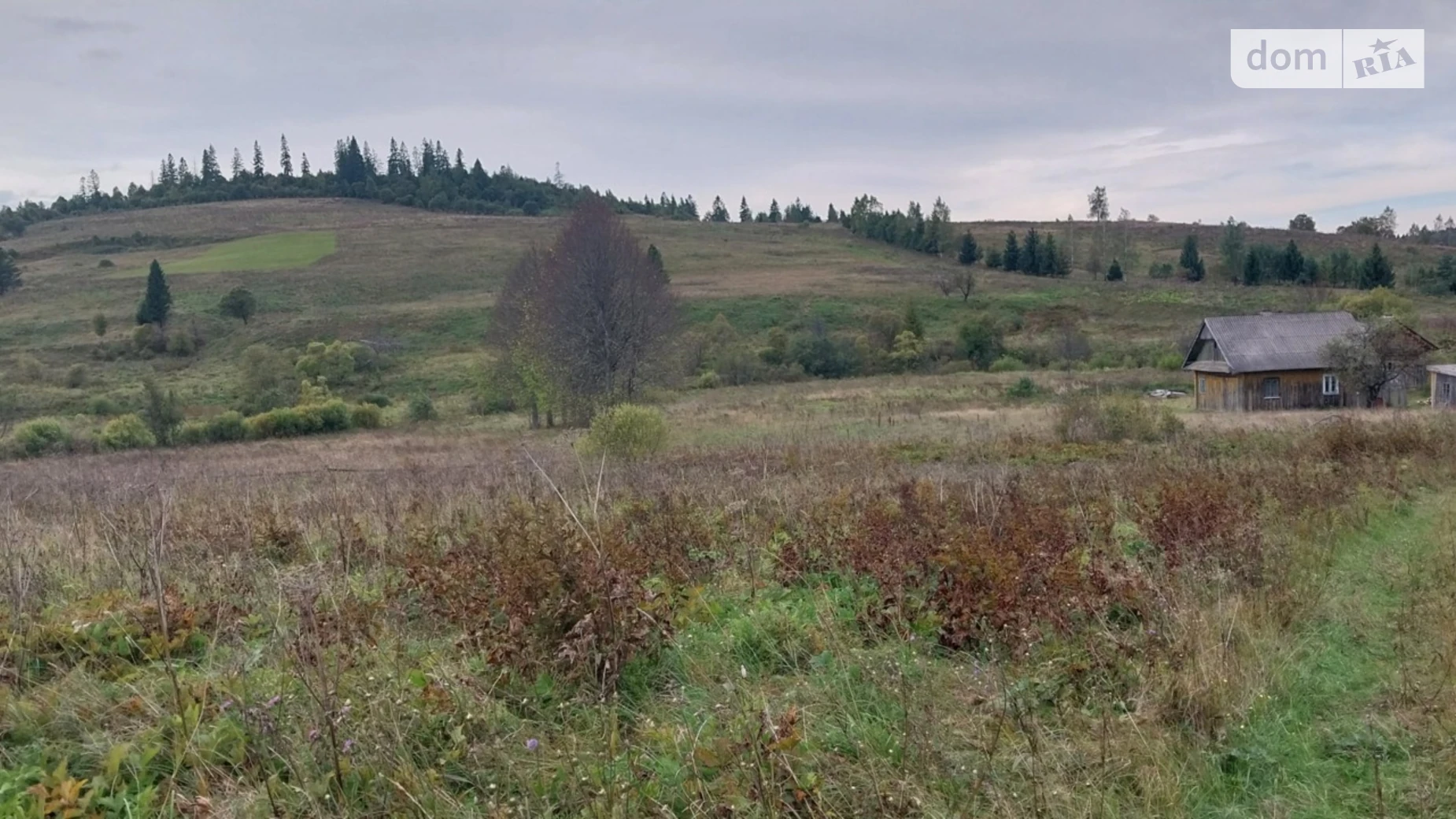 Продается земельный участок 60 соток в Львовской области, цена: 50000 $ - фото 5