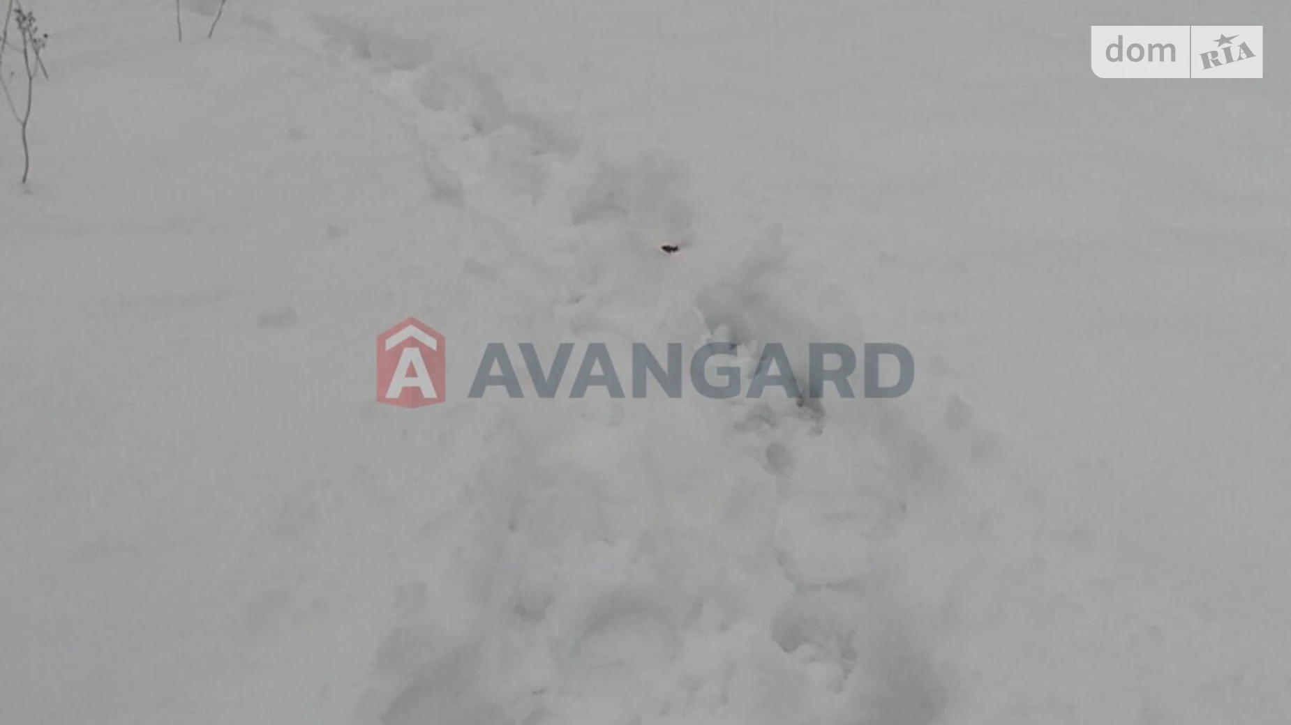 Продается одноэтажный дом 80 кв. м с террасой, цена: 80000 $ - фото 3