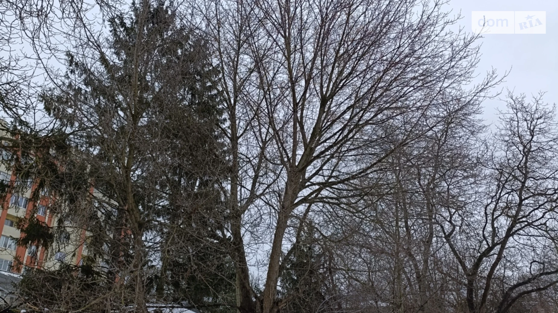 Продается земельный участок 11.5 соток в Тернопольской области, цена: 90000 $ - фото 5