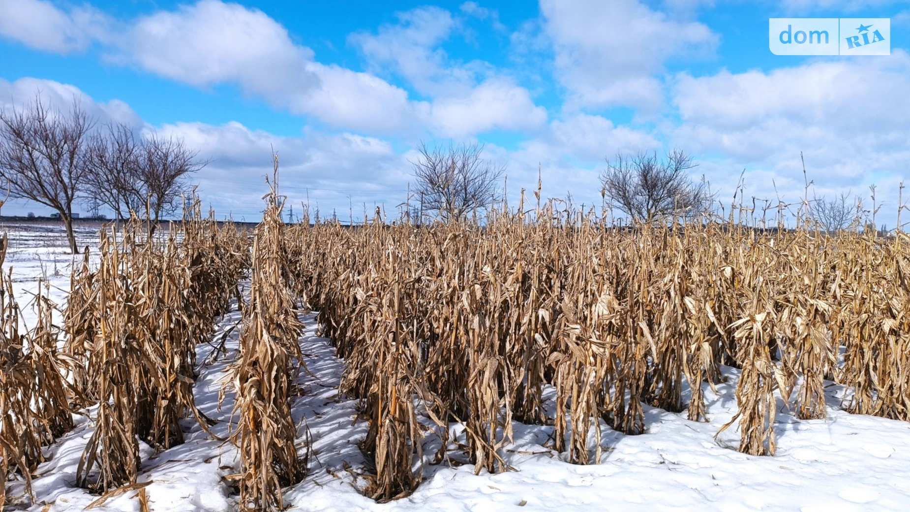 Продається земельна ділянка 12 соток у Вінницькій області, цена: 13000 $ - фото 5