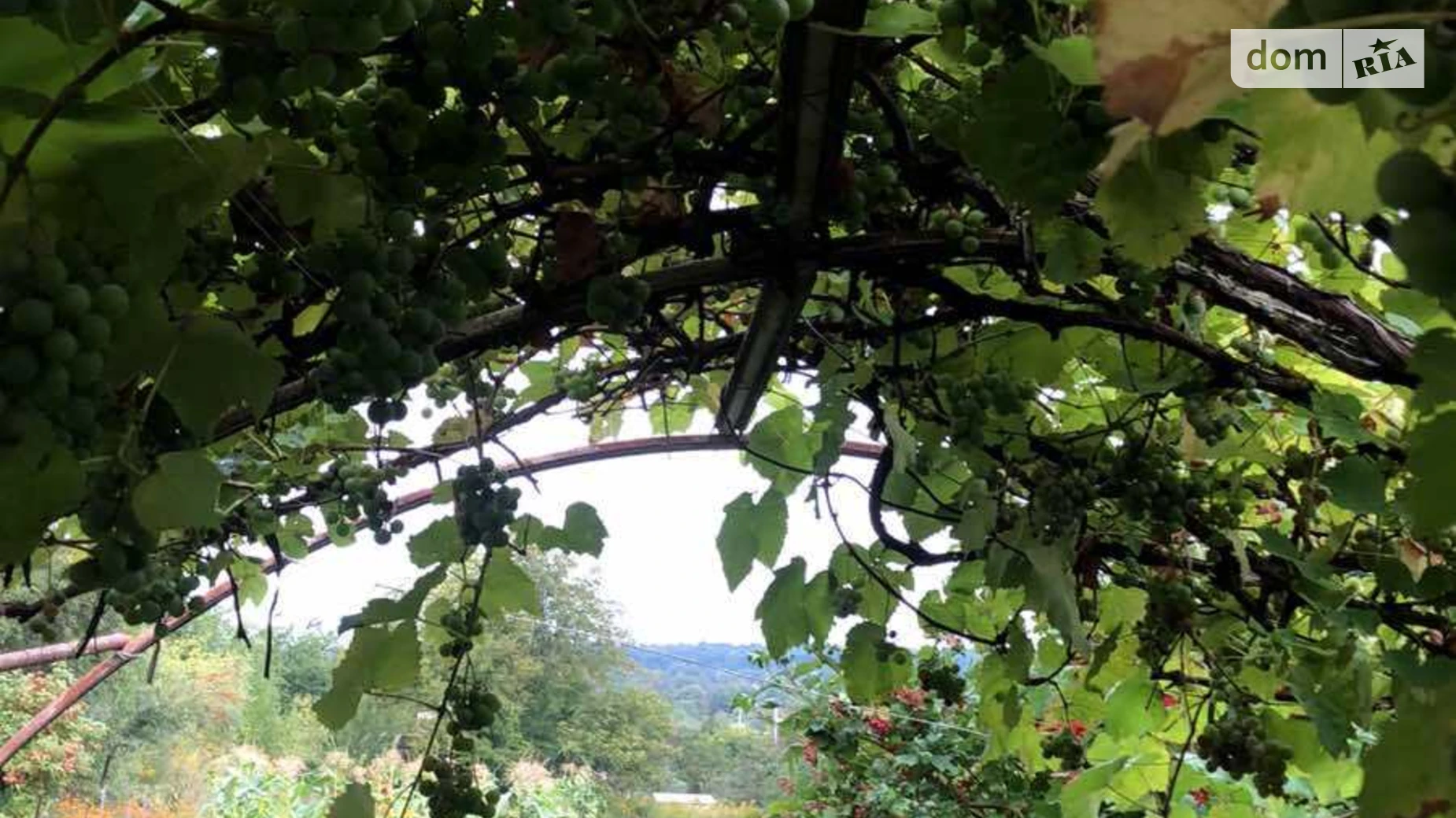 Продается земельный участок 6 соток в Волынской области, цена: 15000 $ - фото 3
