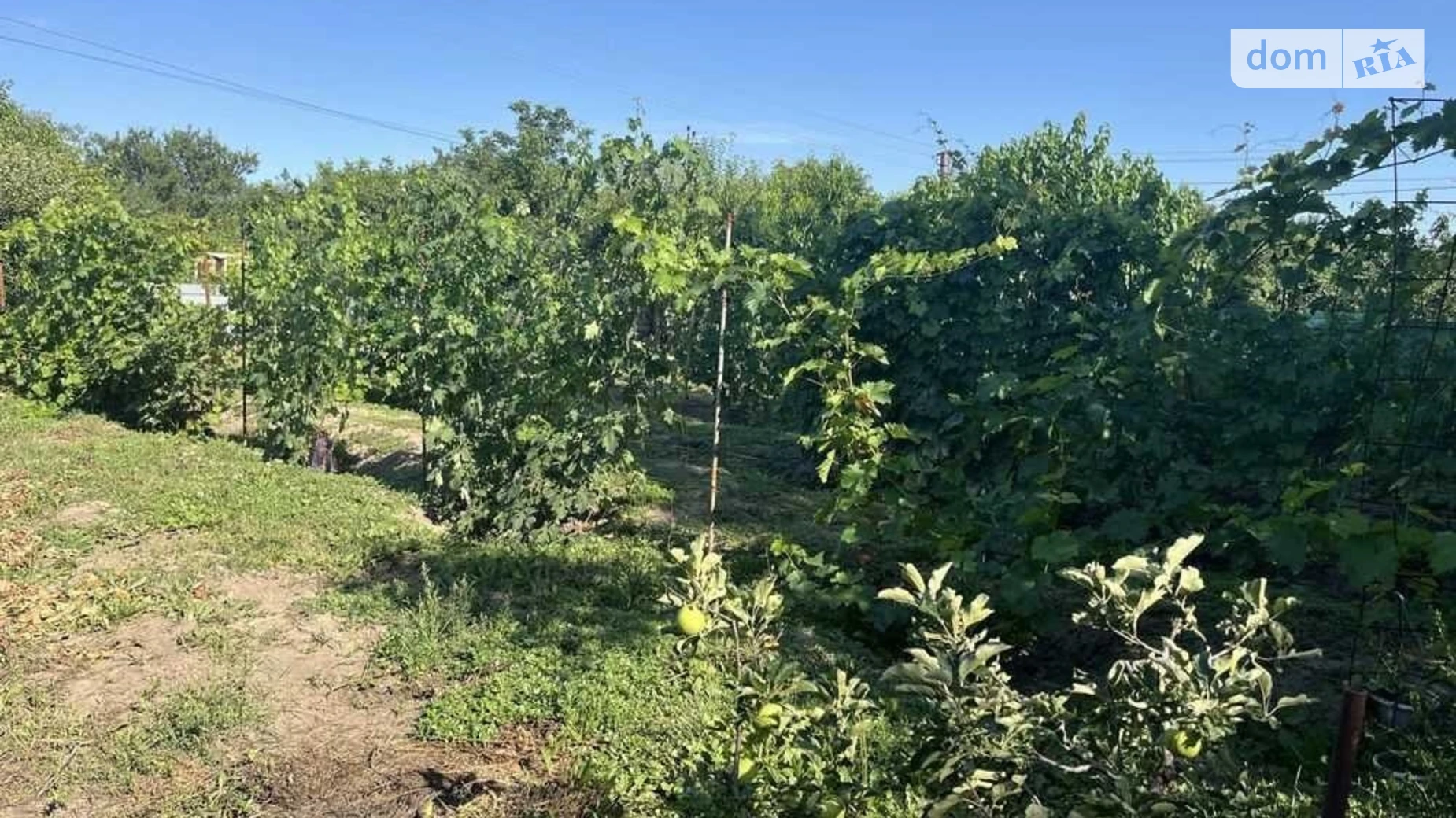 Продается земельный участок 9.94 соток в Полтавской области, цена: 15000 $ - фото 3