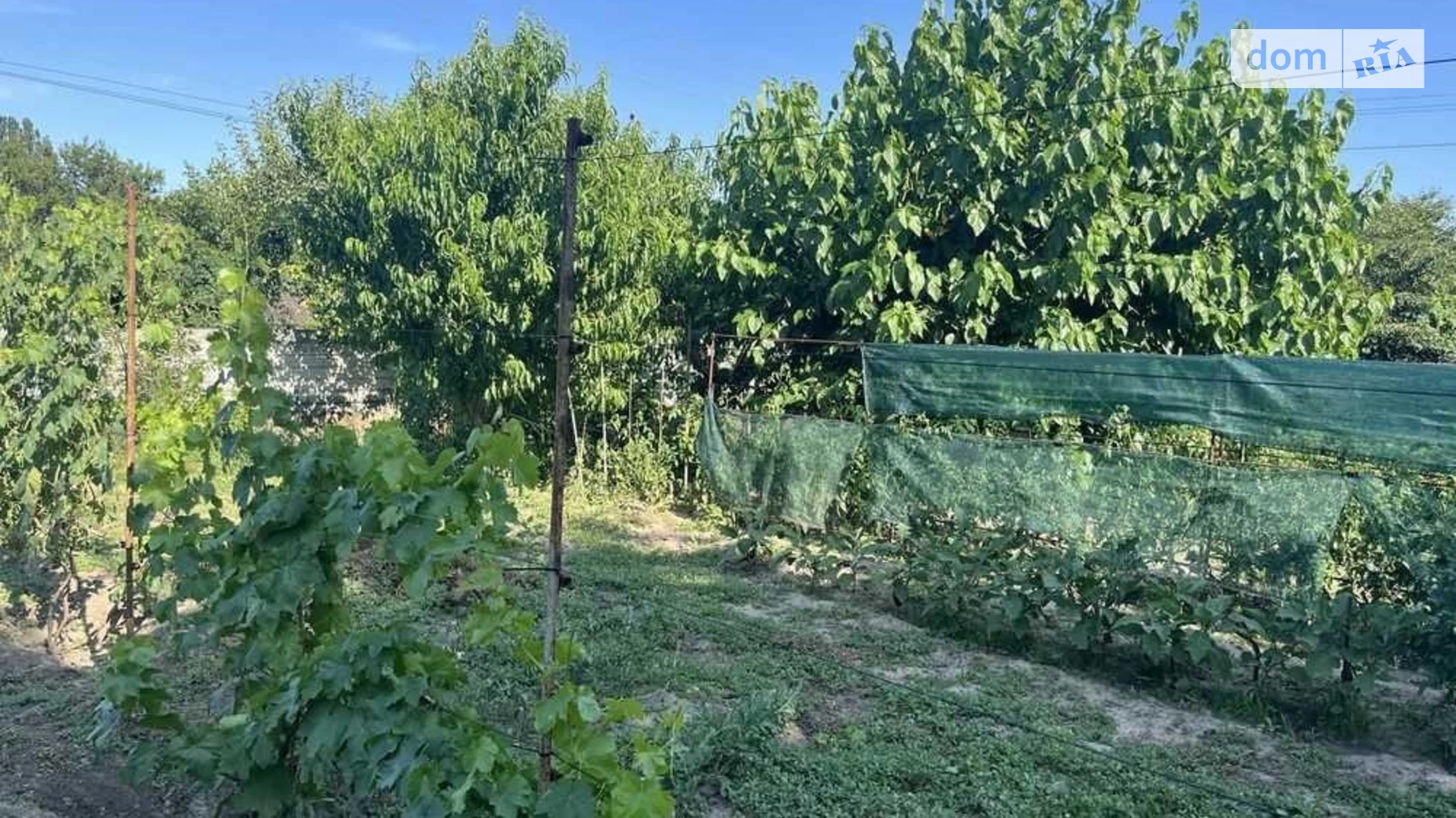 Продается земельный участок 9.94 соток в Полтавской области, цена: 15000 $ - фото 2