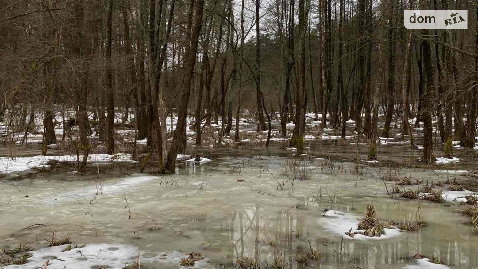 Здається в оренду земельна ділянка 2.35 соток у Львівській області, цена: 7188 грн - фото 2