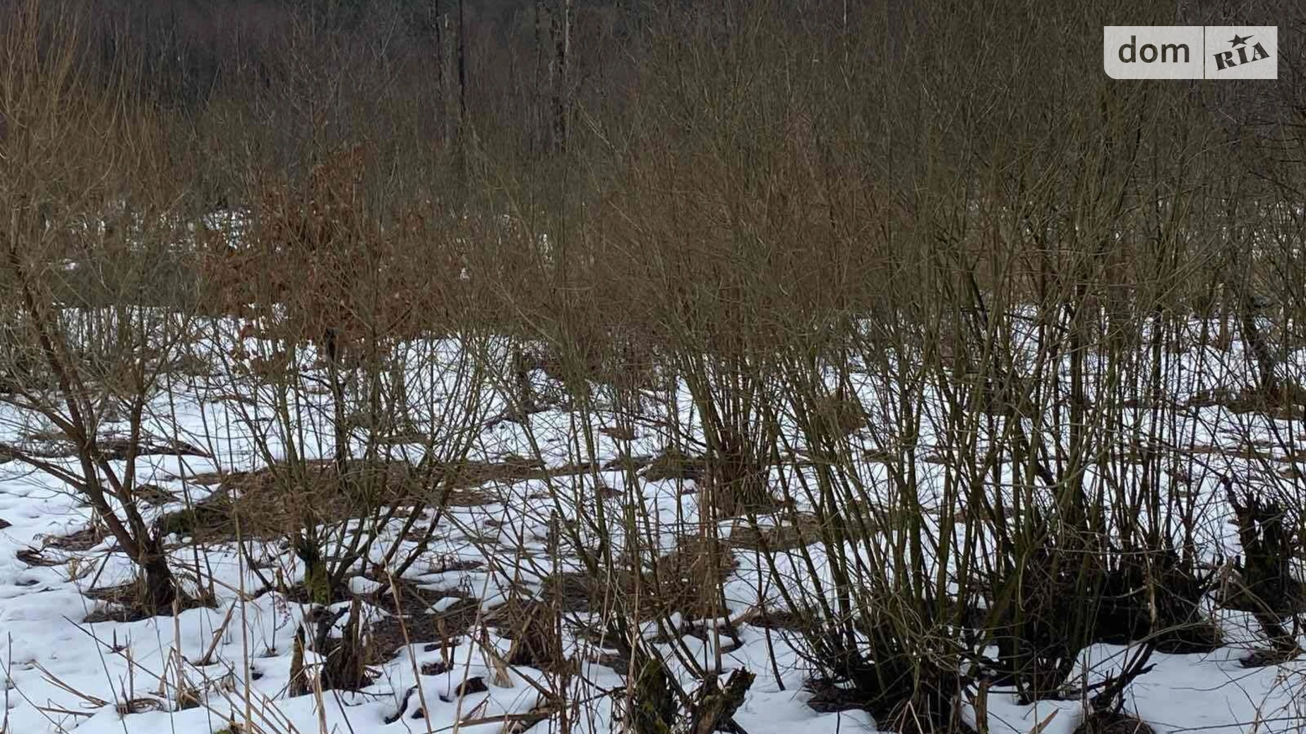 Здається в оренду земельна ділянка 2.35 соток у Львівській області, цена: 7188 грн - фото 3