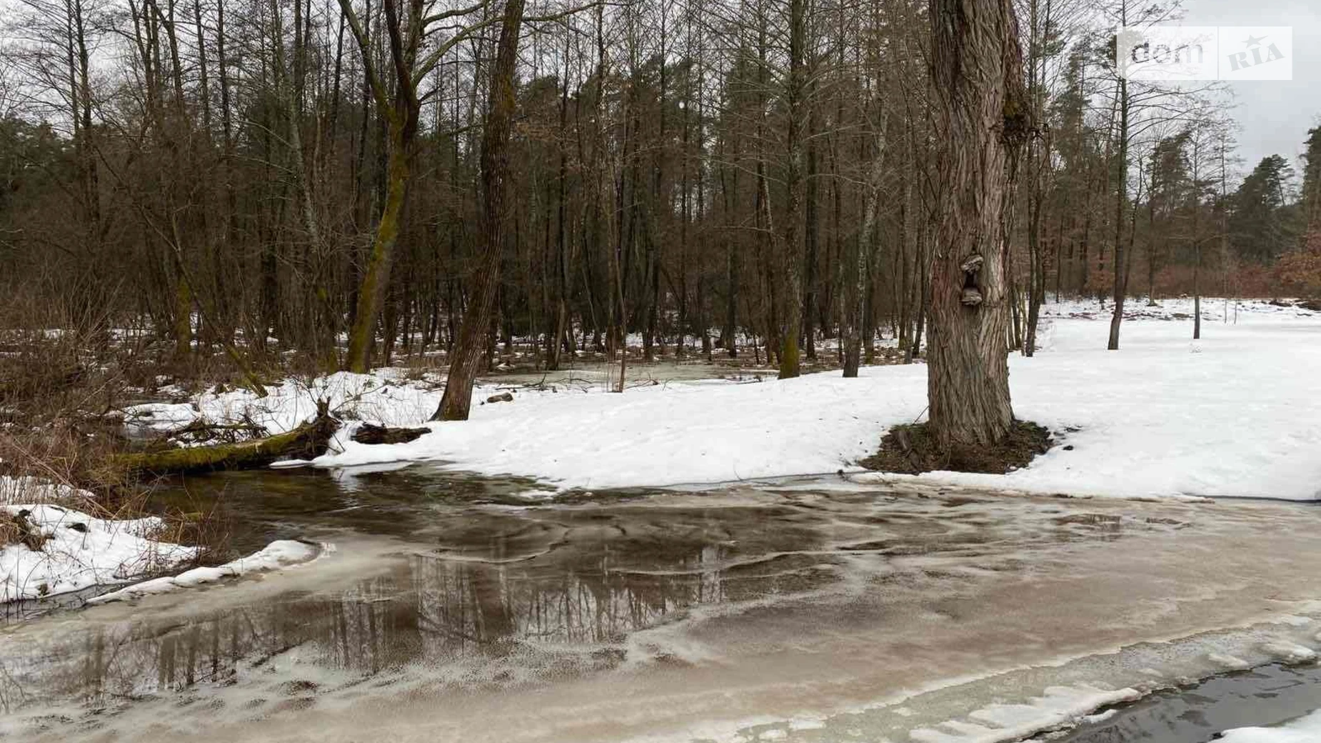 Здається в оренду земельна ділянка 2.35 соток у Львівській області, цена: 7188 грн - фото 4