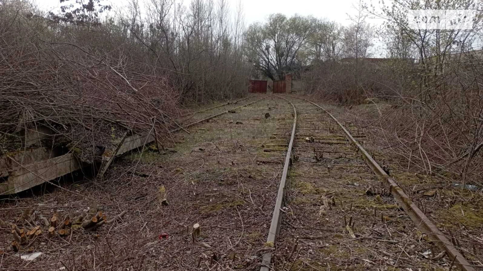 Продается земельный участок 396.13 соток в Закарпатской области, цена: 500000 $ - фото 5