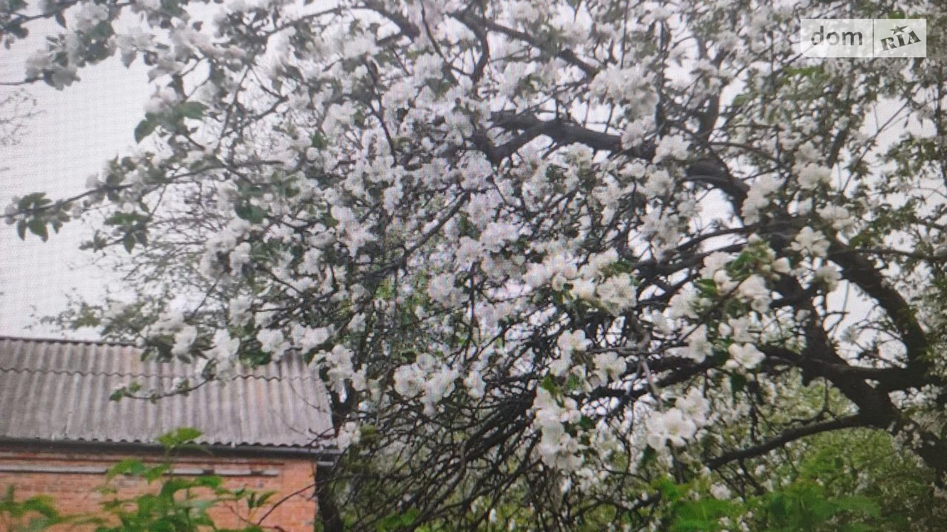 Продается одноэтажный дом 43.5 кв. м с балконом, цена: 6000 $ - фото 5