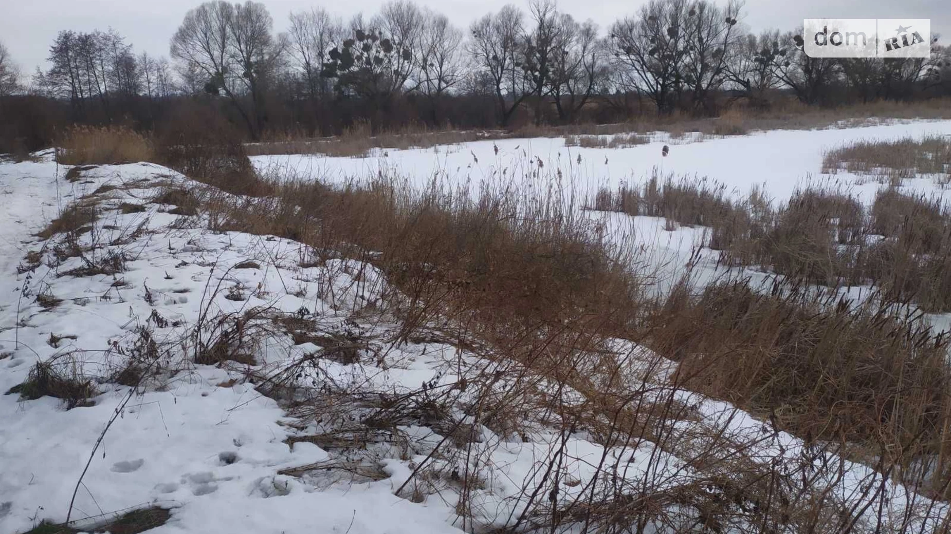 Здається в оренду земельна ділянка 18.7974 соток у Львівській області, цена: 69004 грн - фото 2