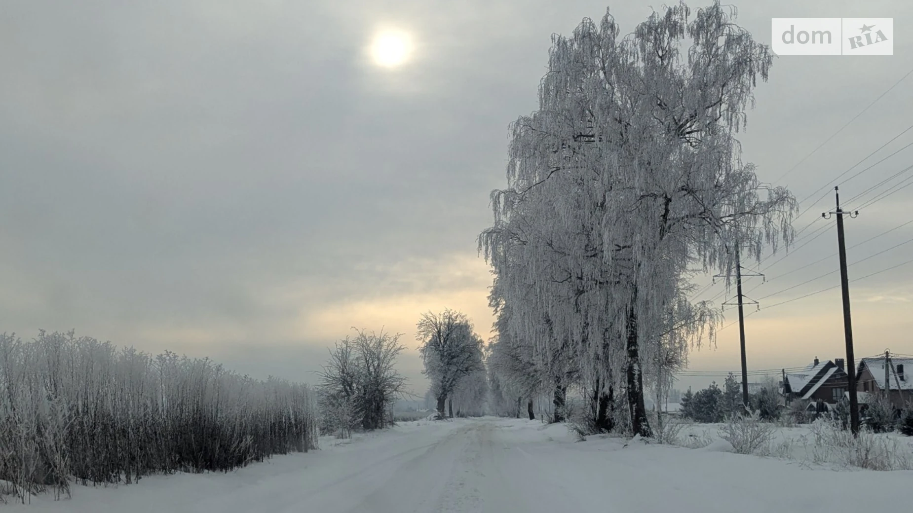 Продается земельный участок 10 соток в Ивано-Франковской области, цена: 22000 $ - фото 3