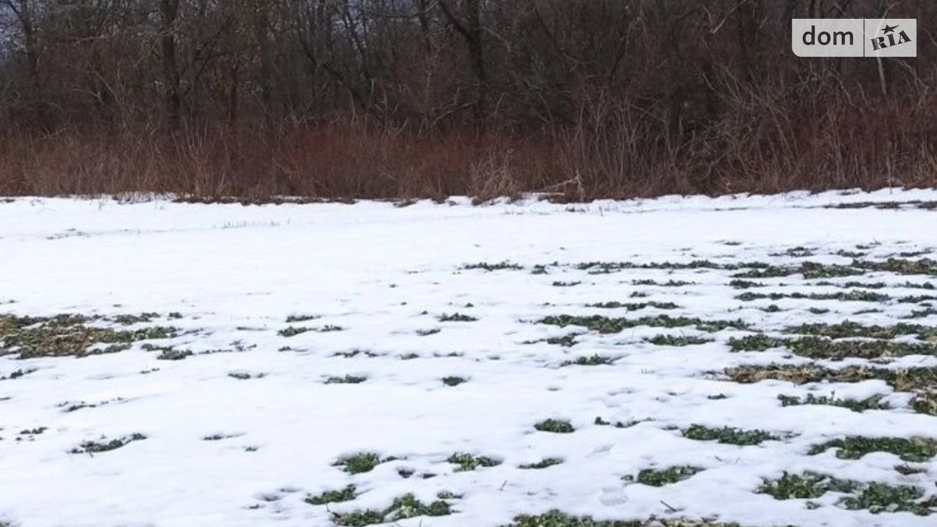 Сдается в аренду земельный участок 1.8071 соток в Винницкой области, цена: 9393 грн - фото 2