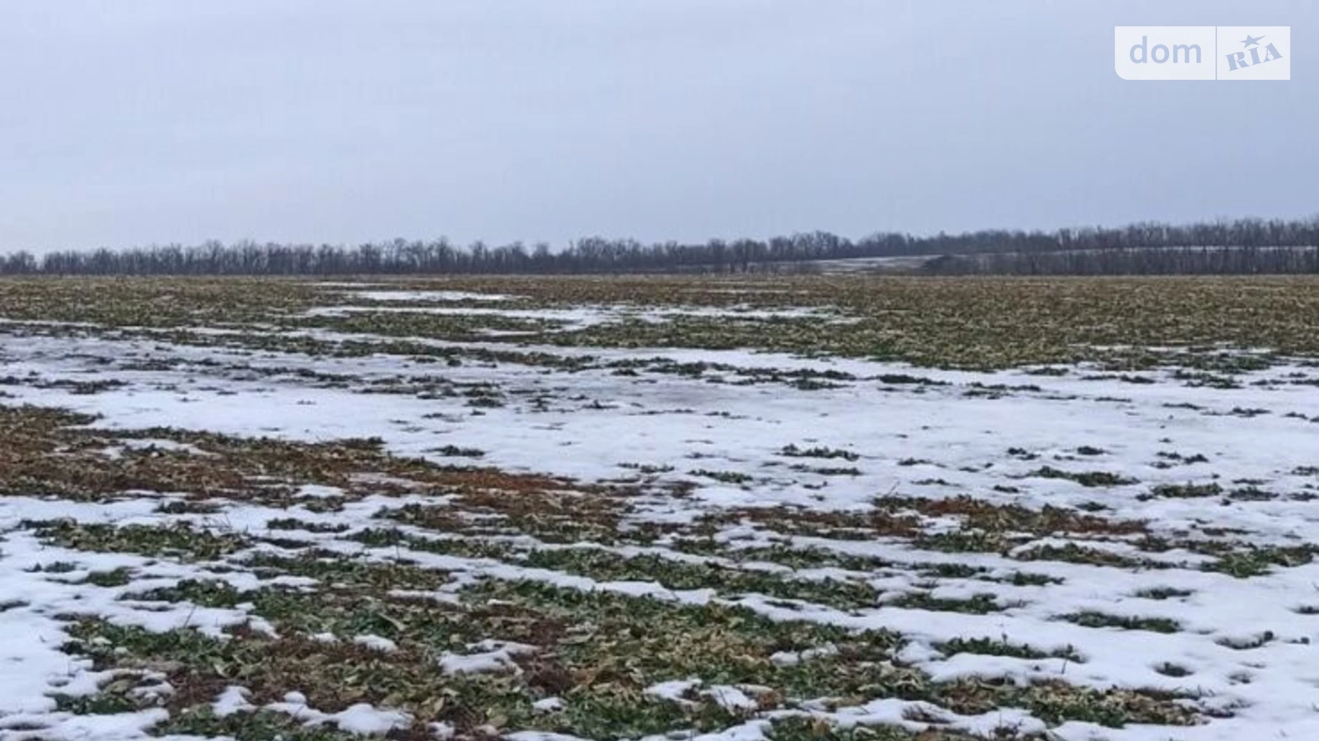 Сдается в аренду земельный участок 1.8071 соток в Винницкой области, цена: 9393 грн - фото 3