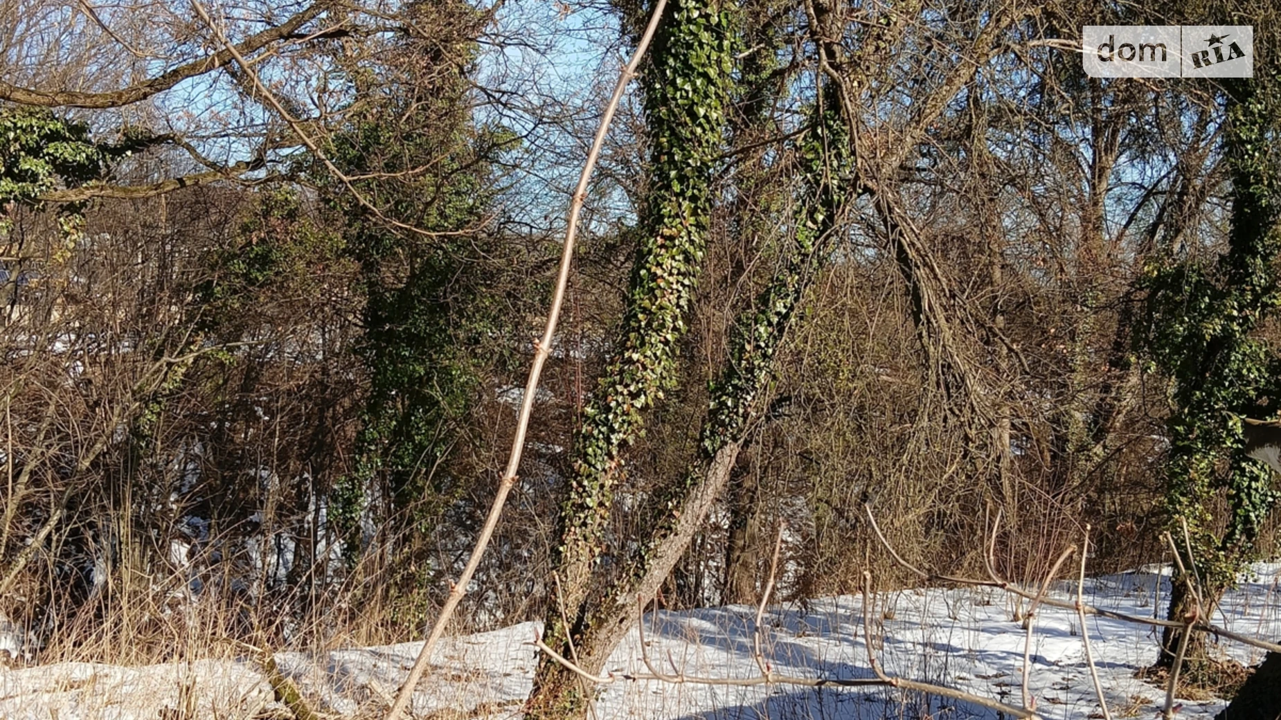 Продается земельный участок 10.5 соток в Львовской области, цена: 44500 $ - фото 3