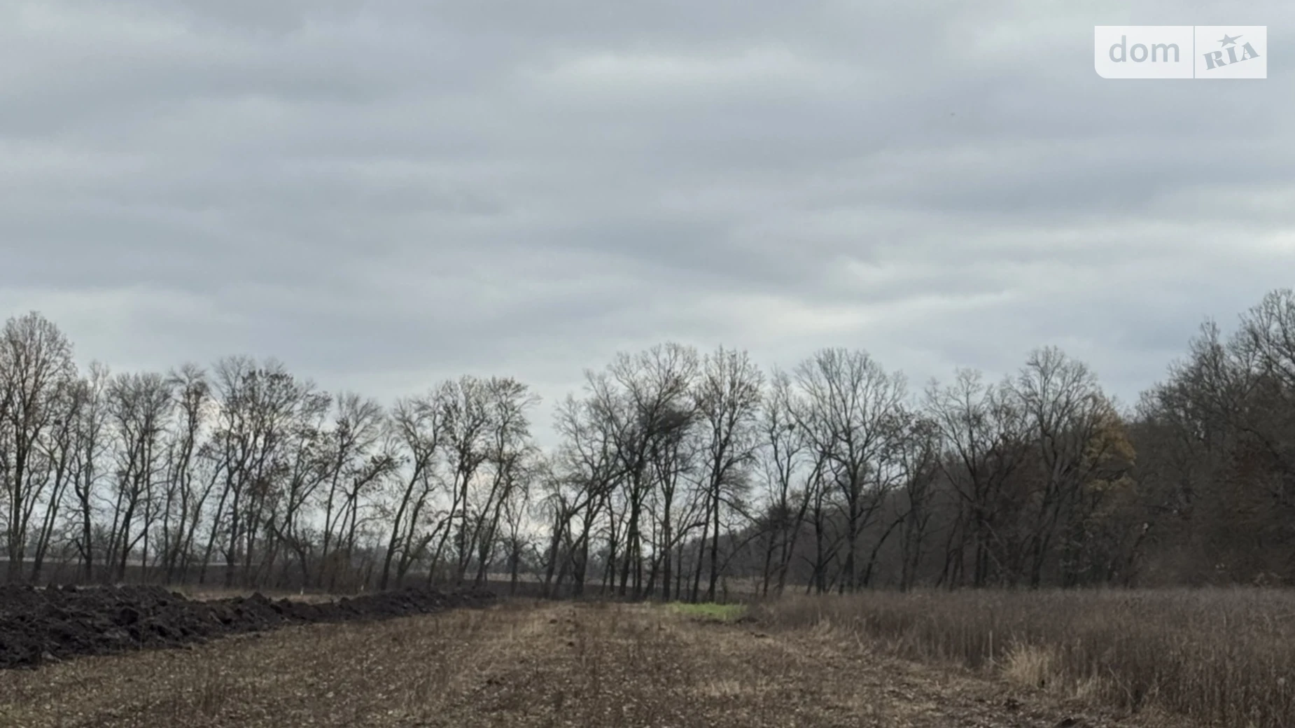 Продается земельный участок 5 соток в Винницкой области, цена: 19500 $ - фото 2