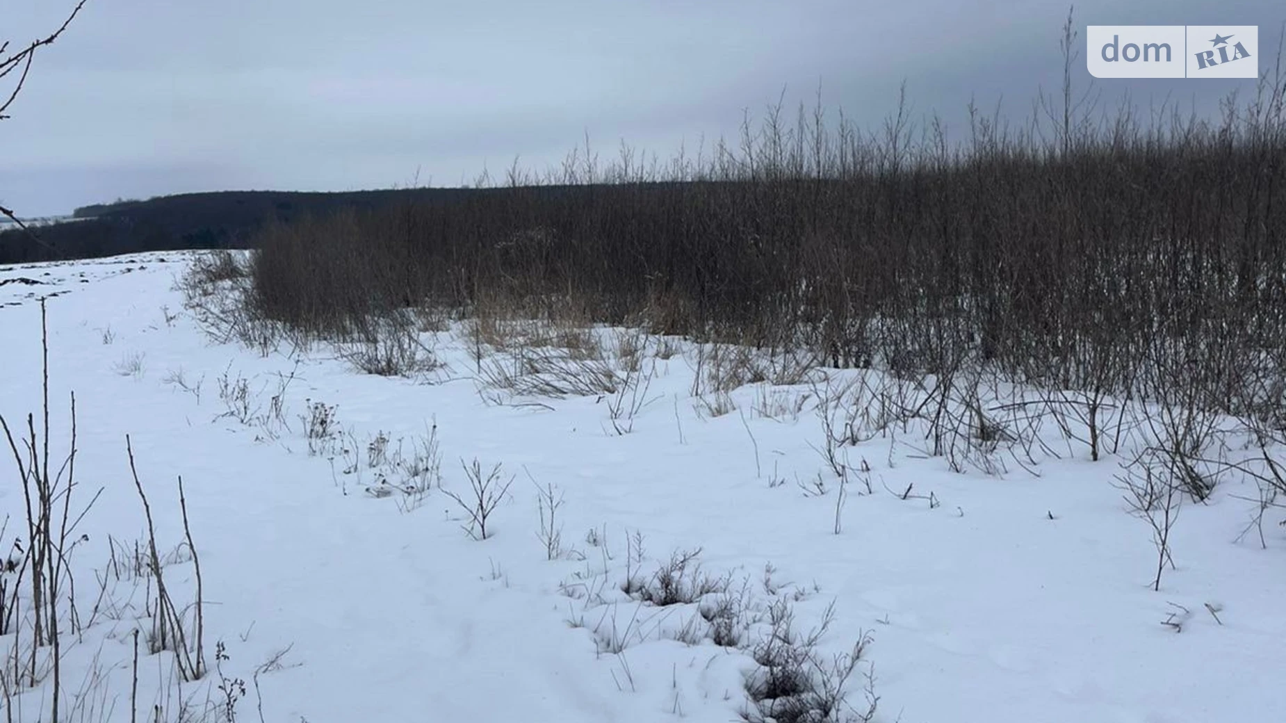 Здається в оренду земельна ділянка 19.98 соток у Хмельницькій області, цена: 68275 грн - фото 2