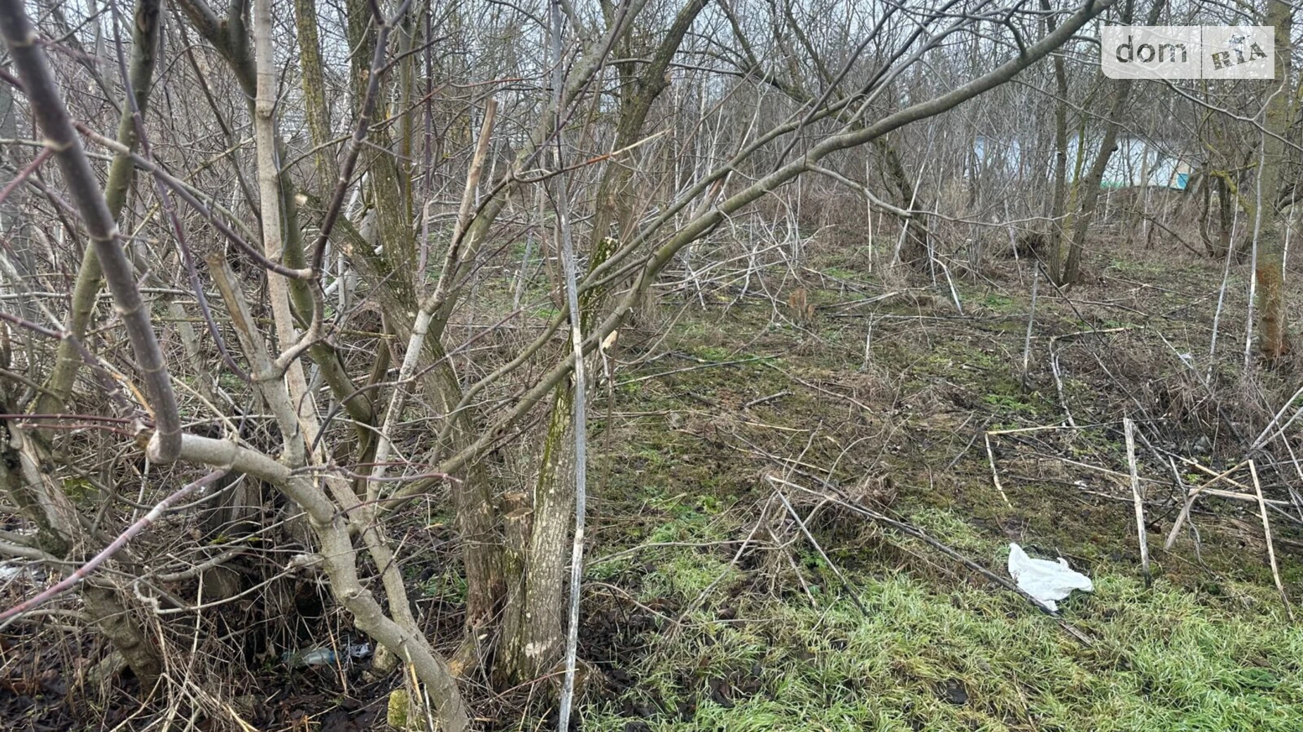 Сдается в аренду земельный участок 0.3558 соток в Винницкой области, цена: 65068 грн - фото 3