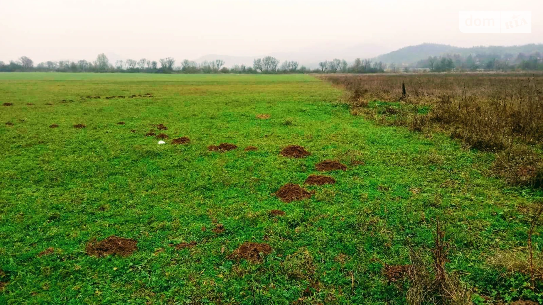 Продается земельный участок 100 соток в Закарпатской области, цена: 40000 € - фото 4