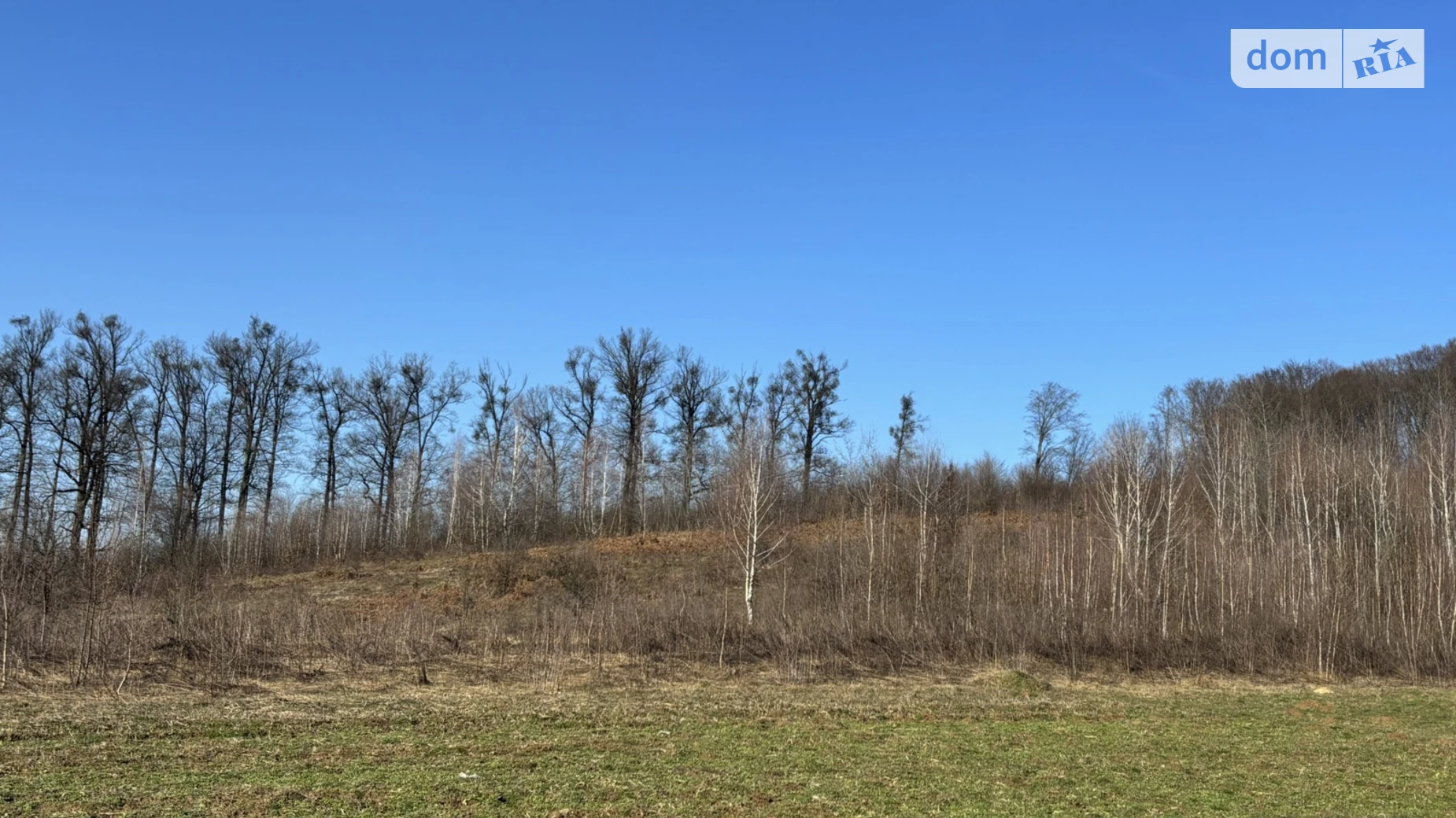 Кленовець, цена: 200000 $ - фото 4