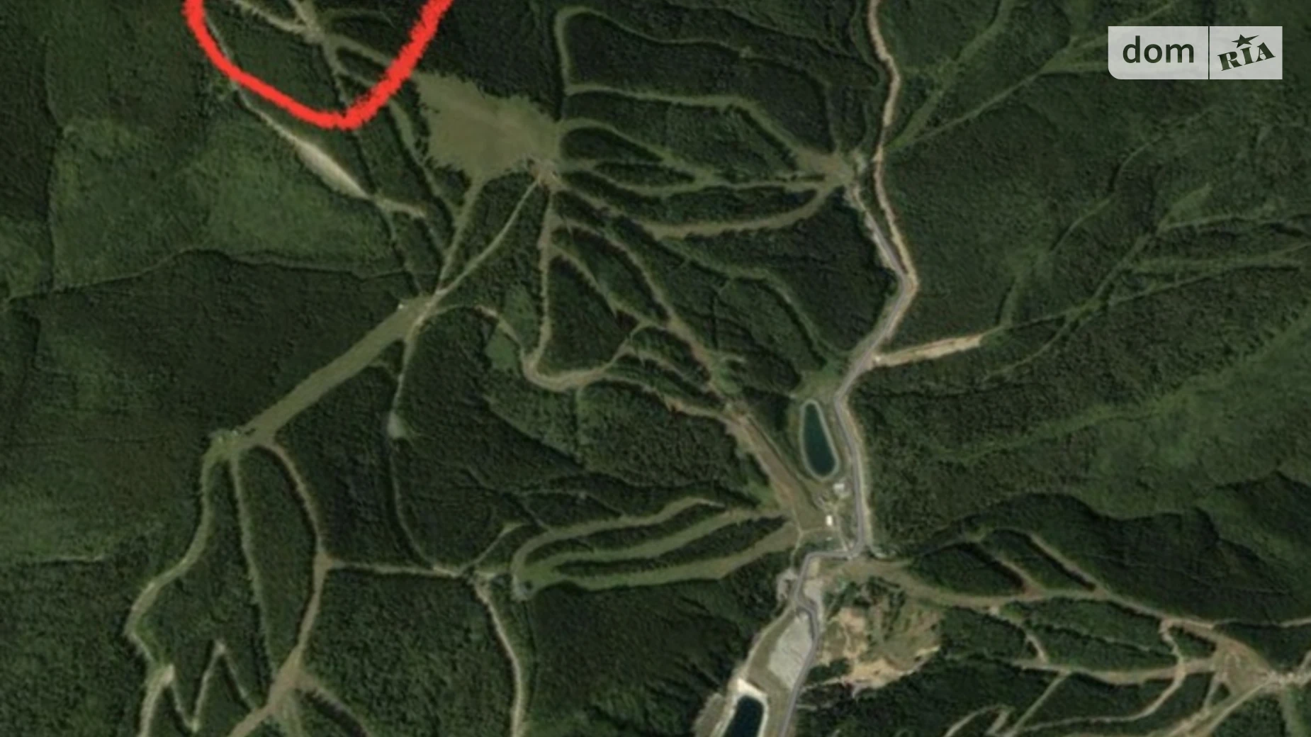 Чорна Тиса, цена: 24000 $ - фото 2