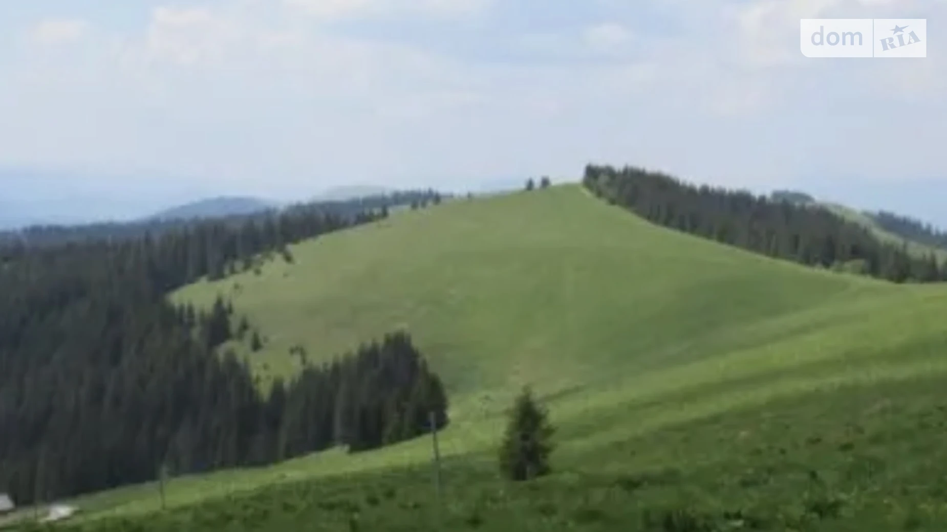 Чорна Тиса, цена: 24000 $ - фото 4