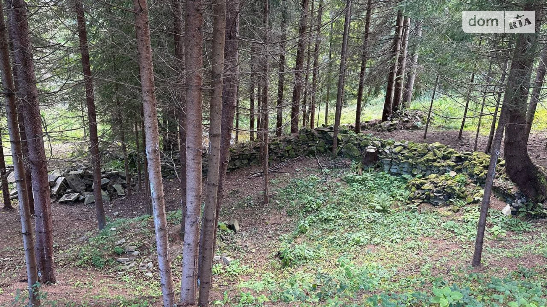 Верхний Ясенов, цена: 216000 $ - фото 5