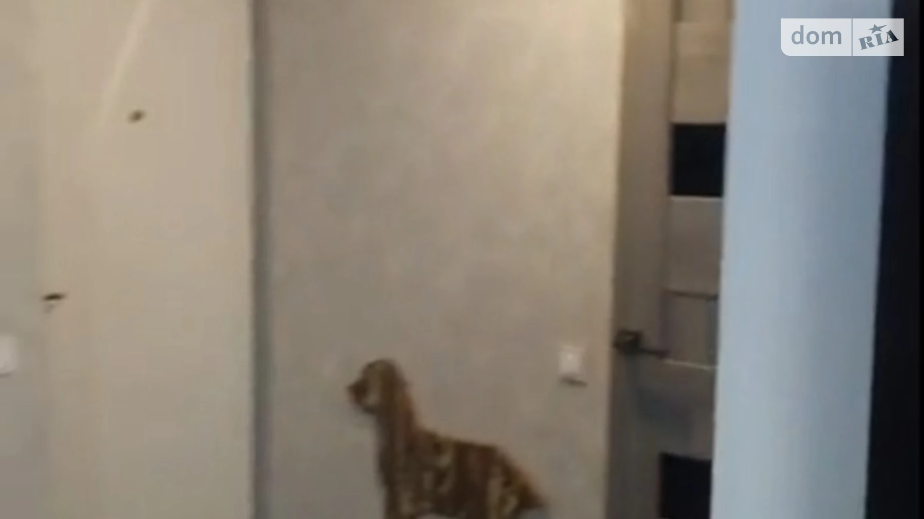 Продается 1-комнатная квартира 34 кв. м в Кривом Роге, просп. Мира, 24А - фото 4