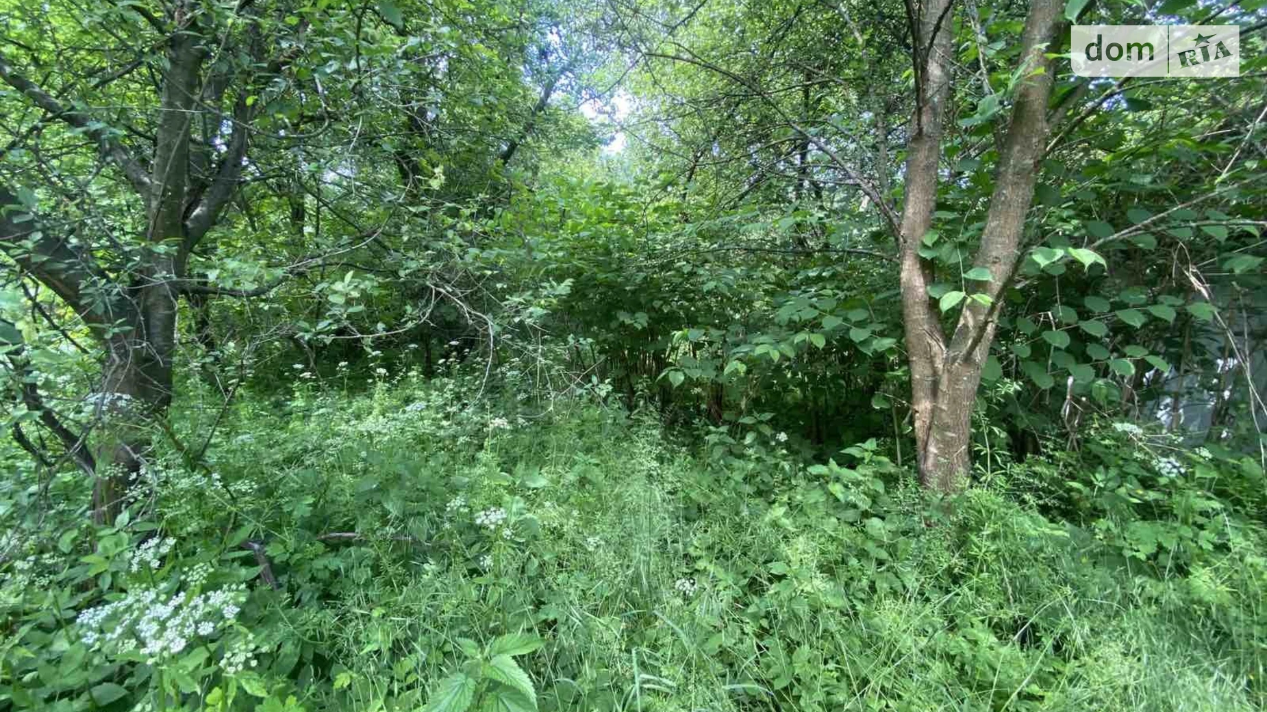 Продается земельный участок 7.44 соток в Львовской области, цена: 40000 $ - фото 2