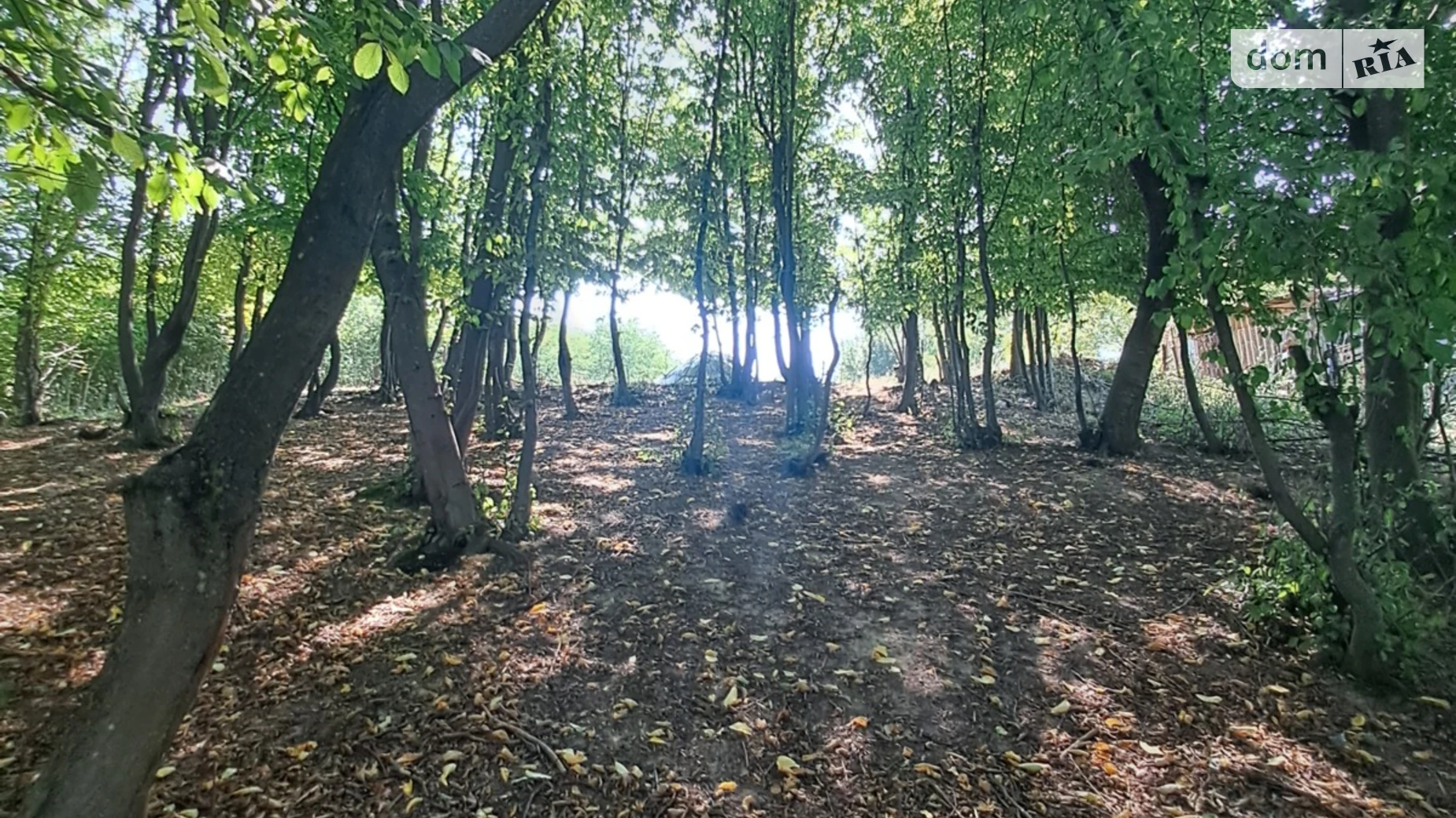 Лука-Мелешківська, цена: 65000 $ - фото 3