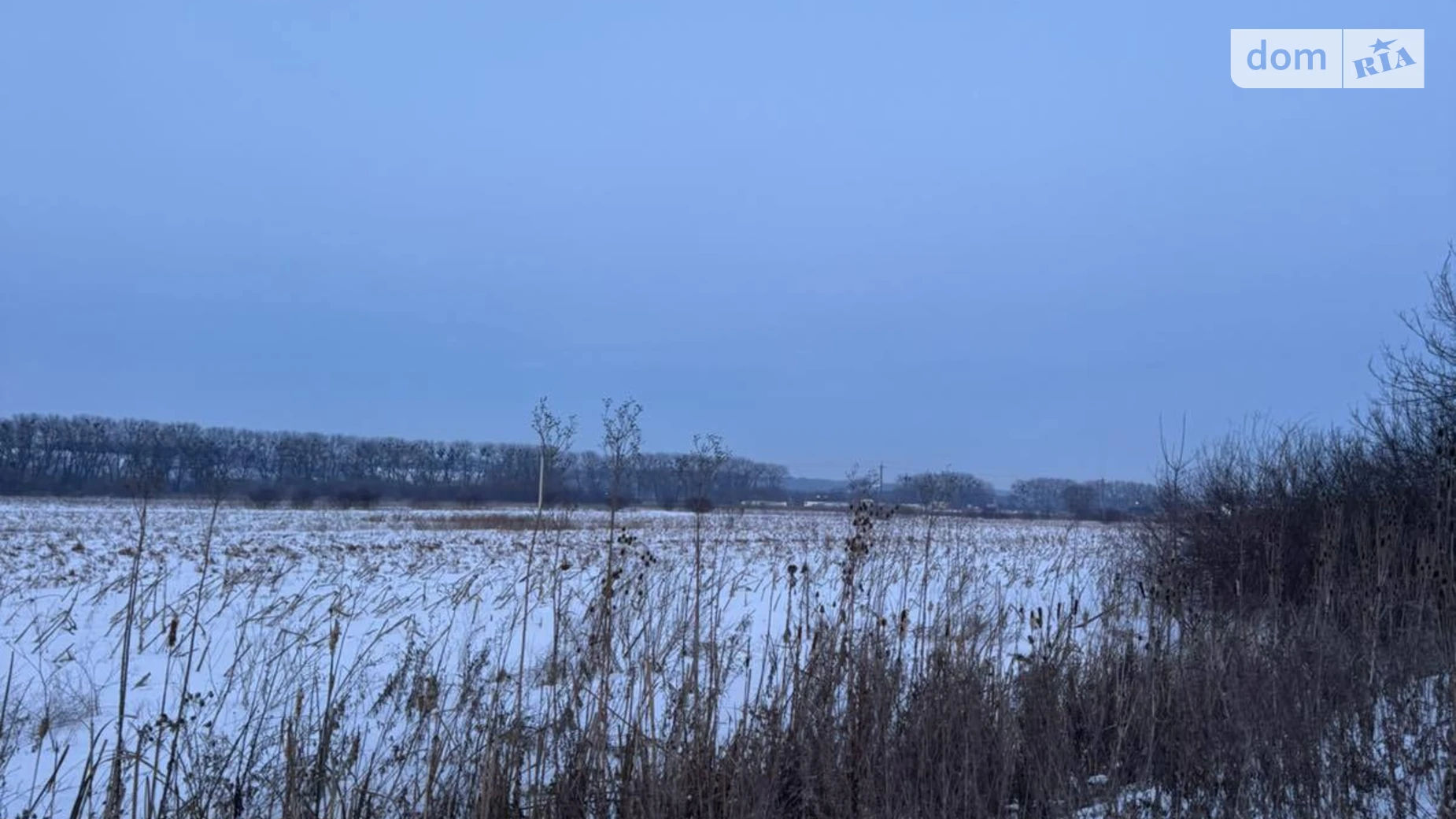 Копыстин, цена: 65000 $ - фото 3