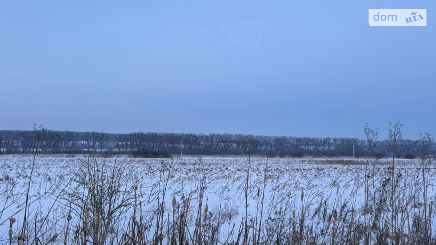 Копыстин, цена: 65000 $ - фото 2